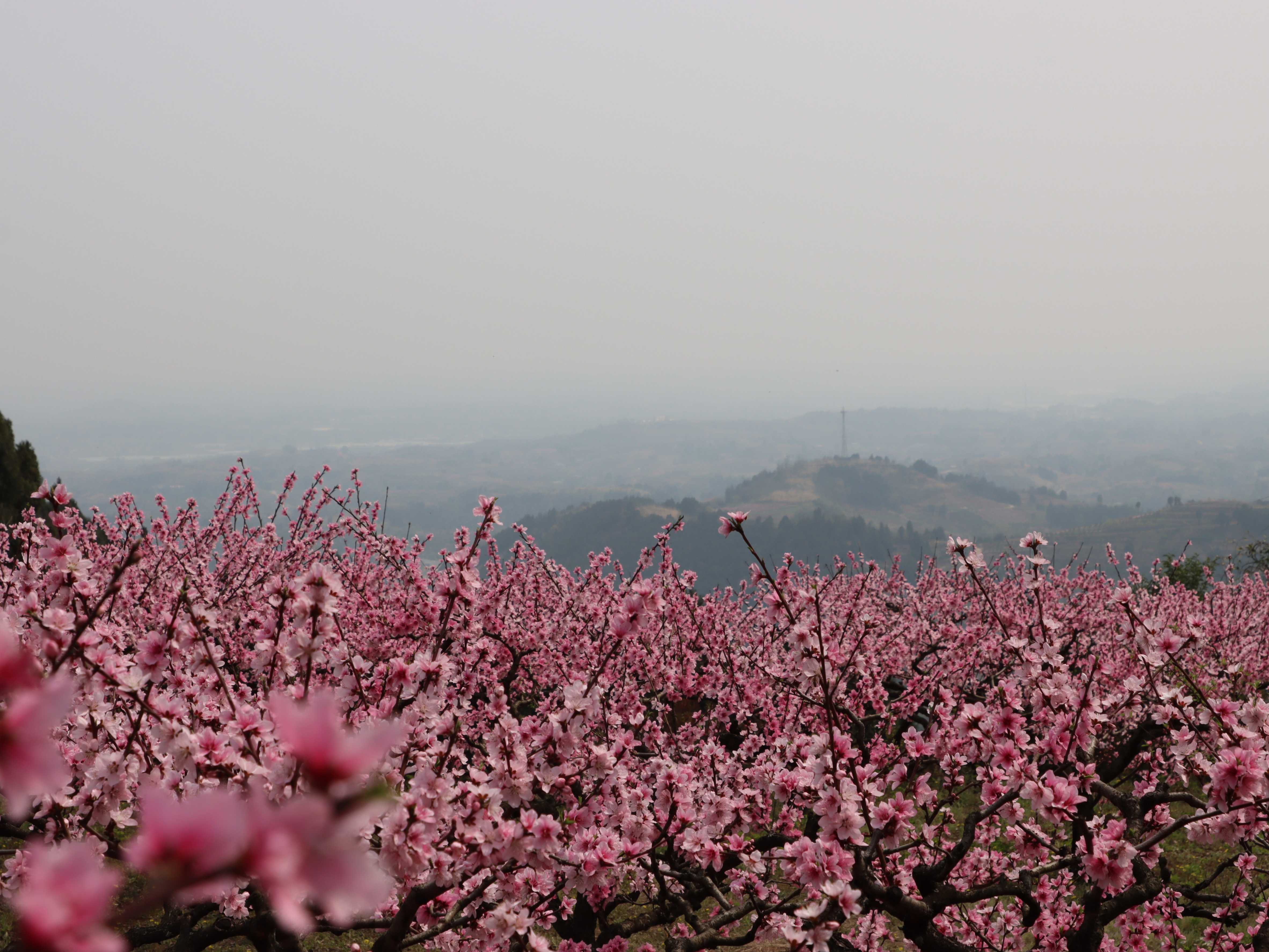 上春山