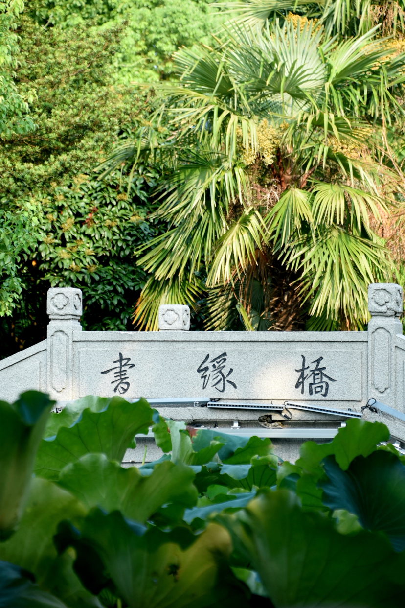 荻港古村