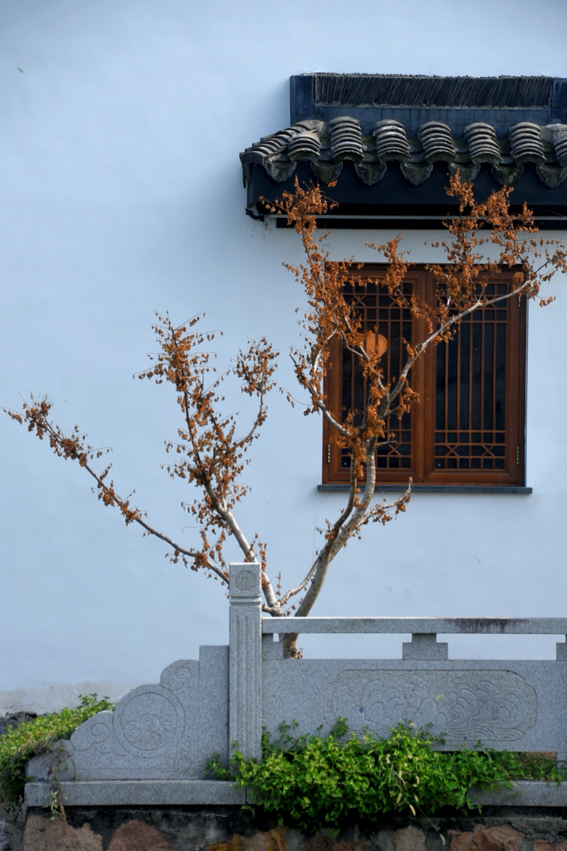 荻港古村