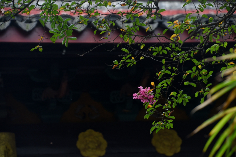 荻港古村