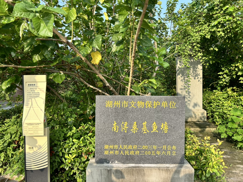 荻港古村