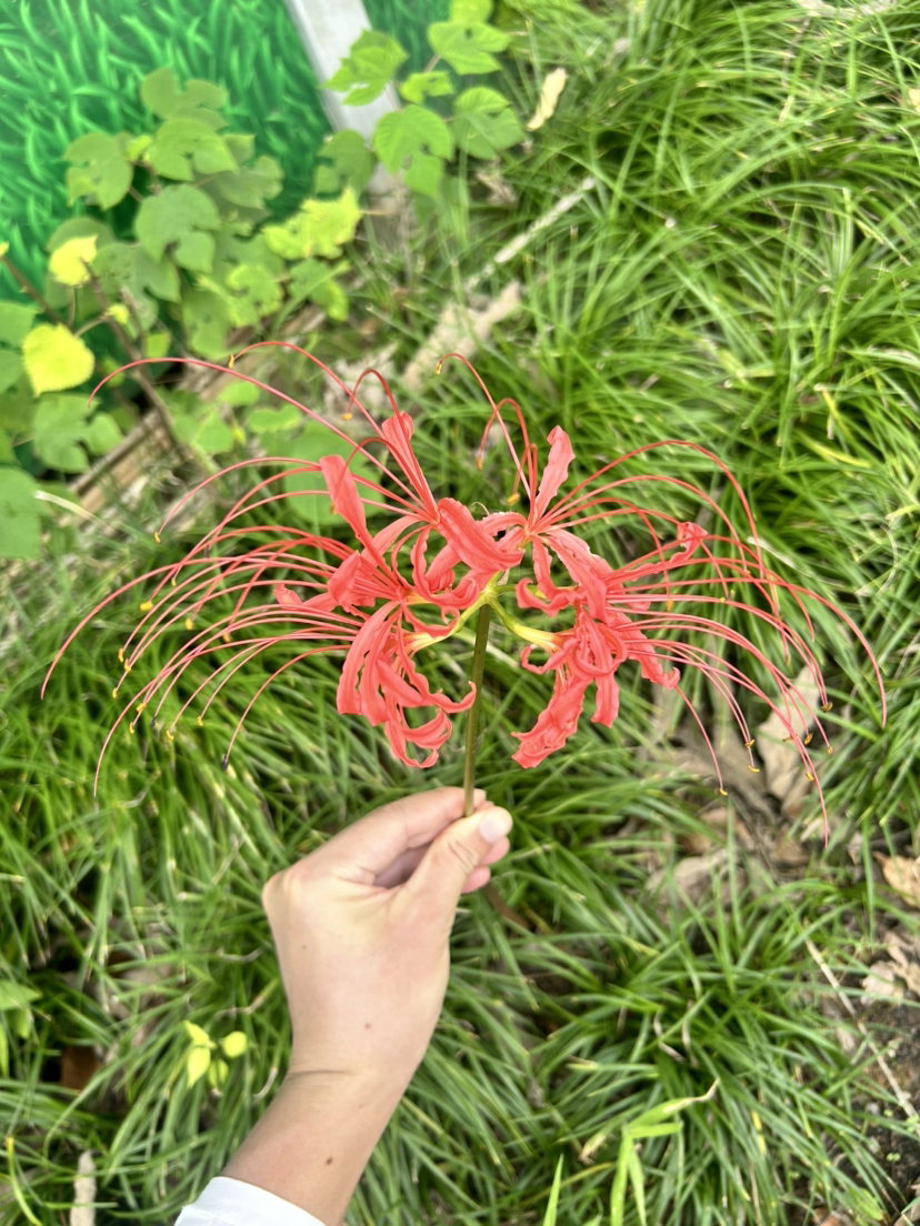 荻港古村