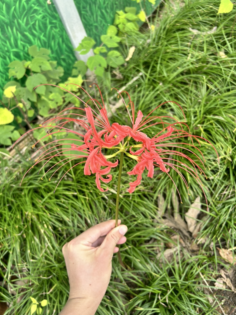 荻港古村