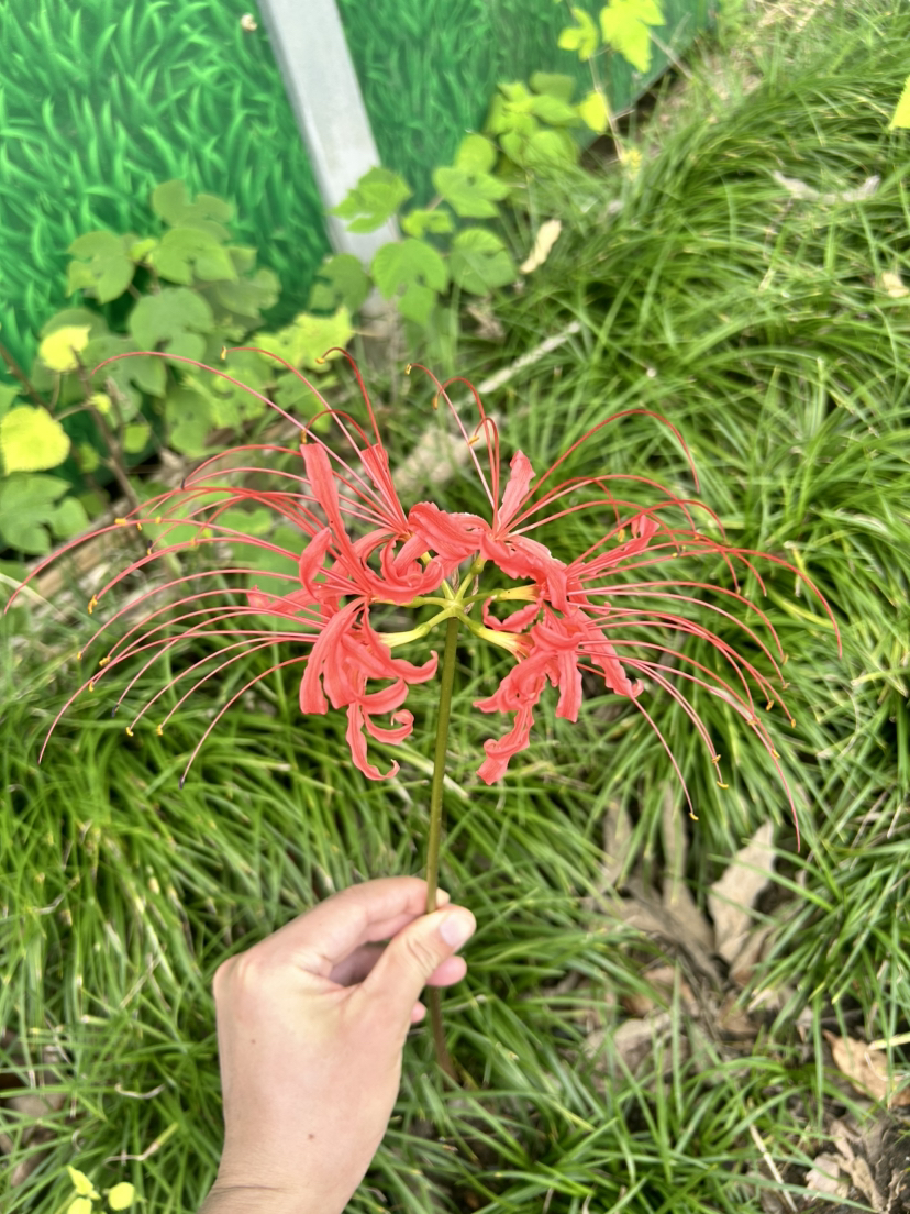 荻港古村