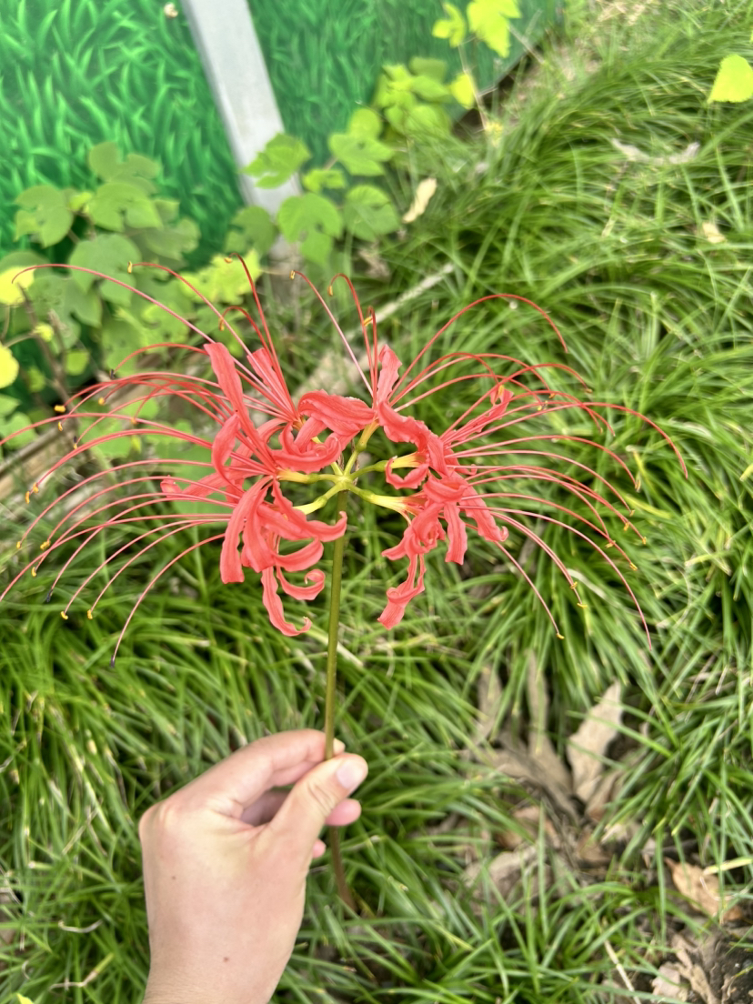 荻港古村