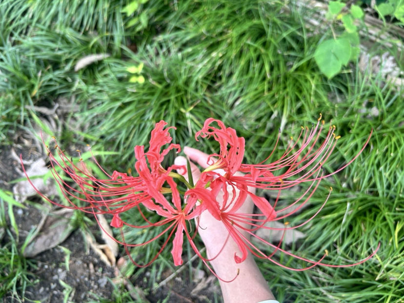荻港古村