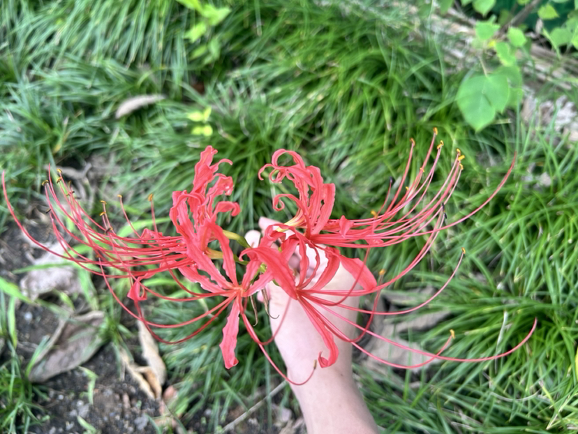 荻港古村