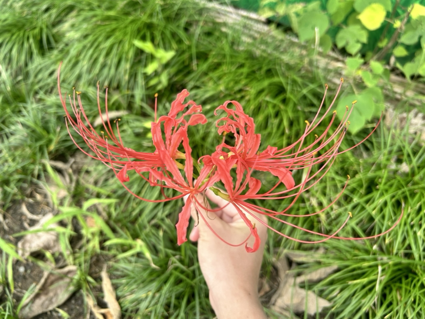 荻港古村