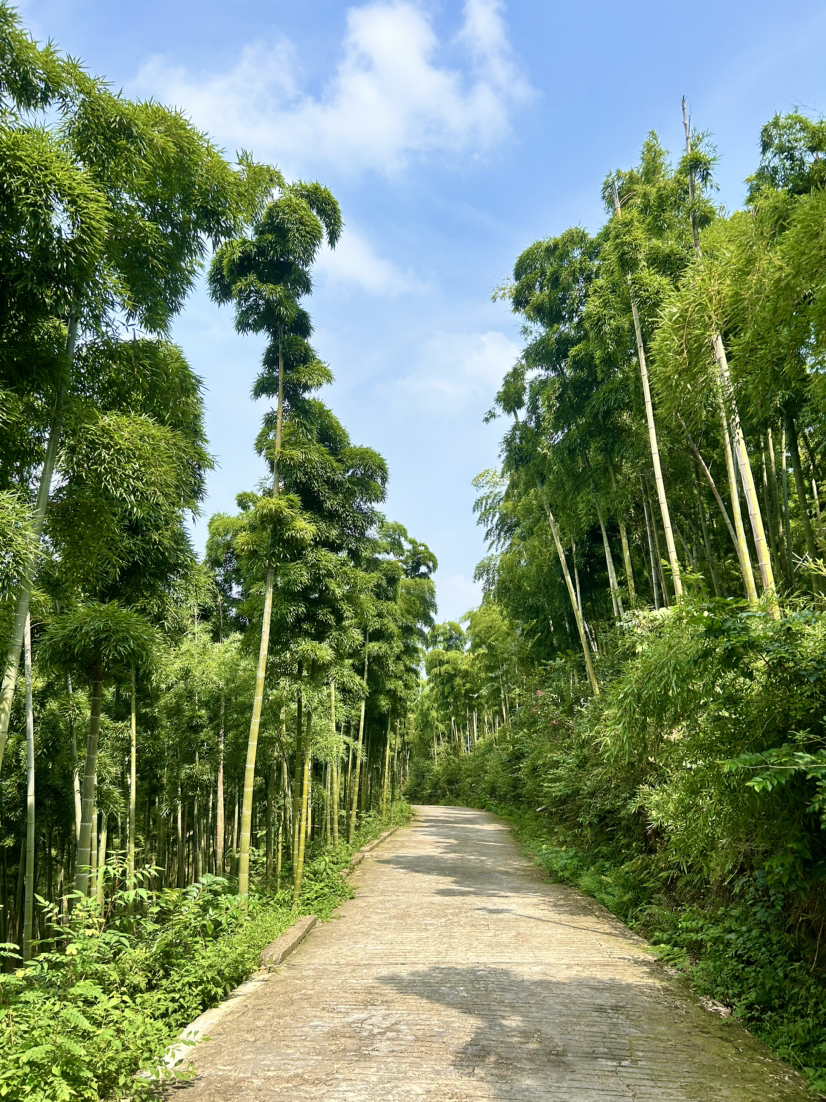 荻港古村