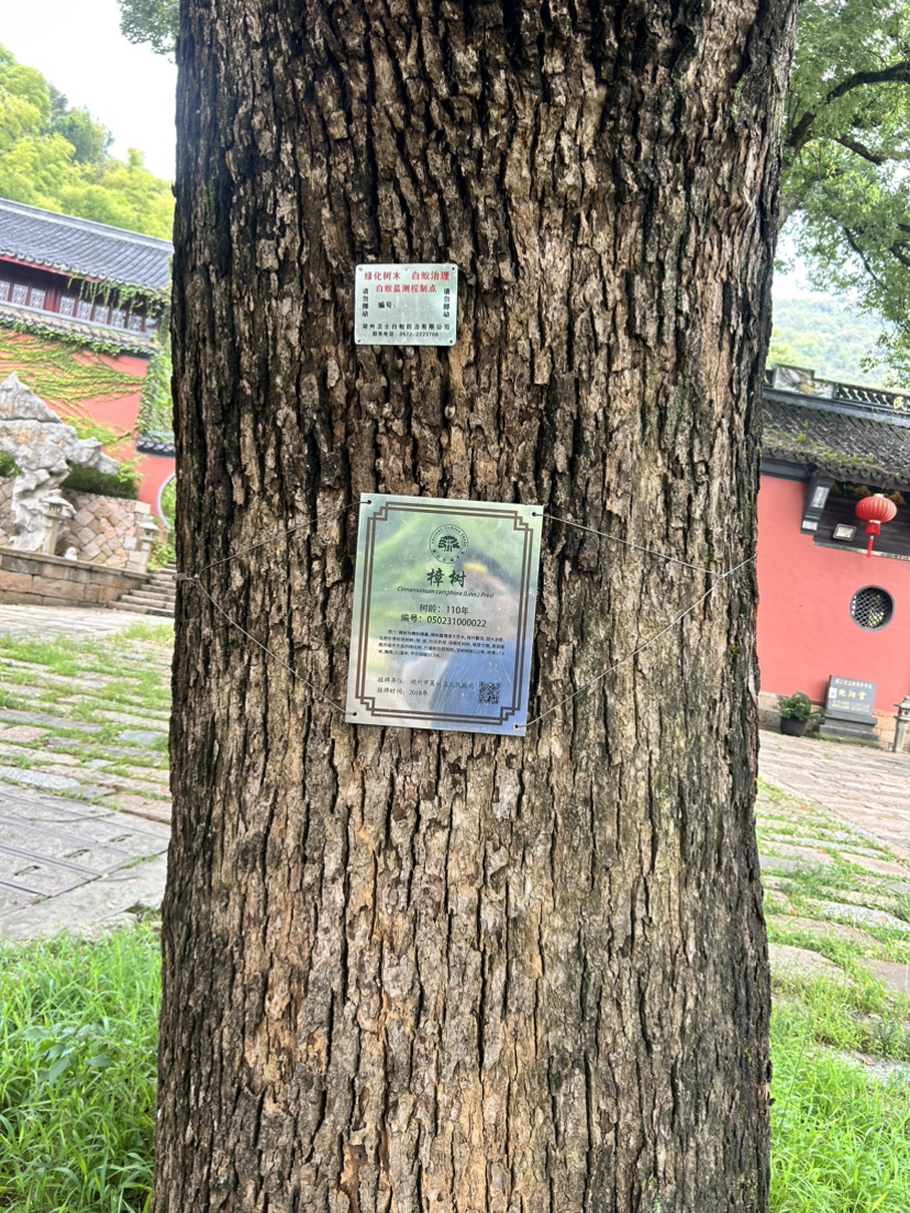 荻港古村