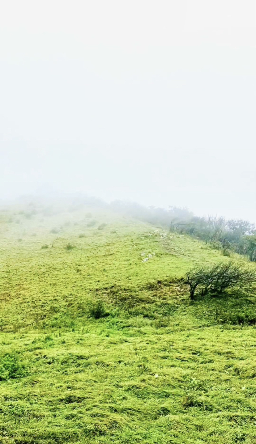 行于途，不究终点，沿途皆风景