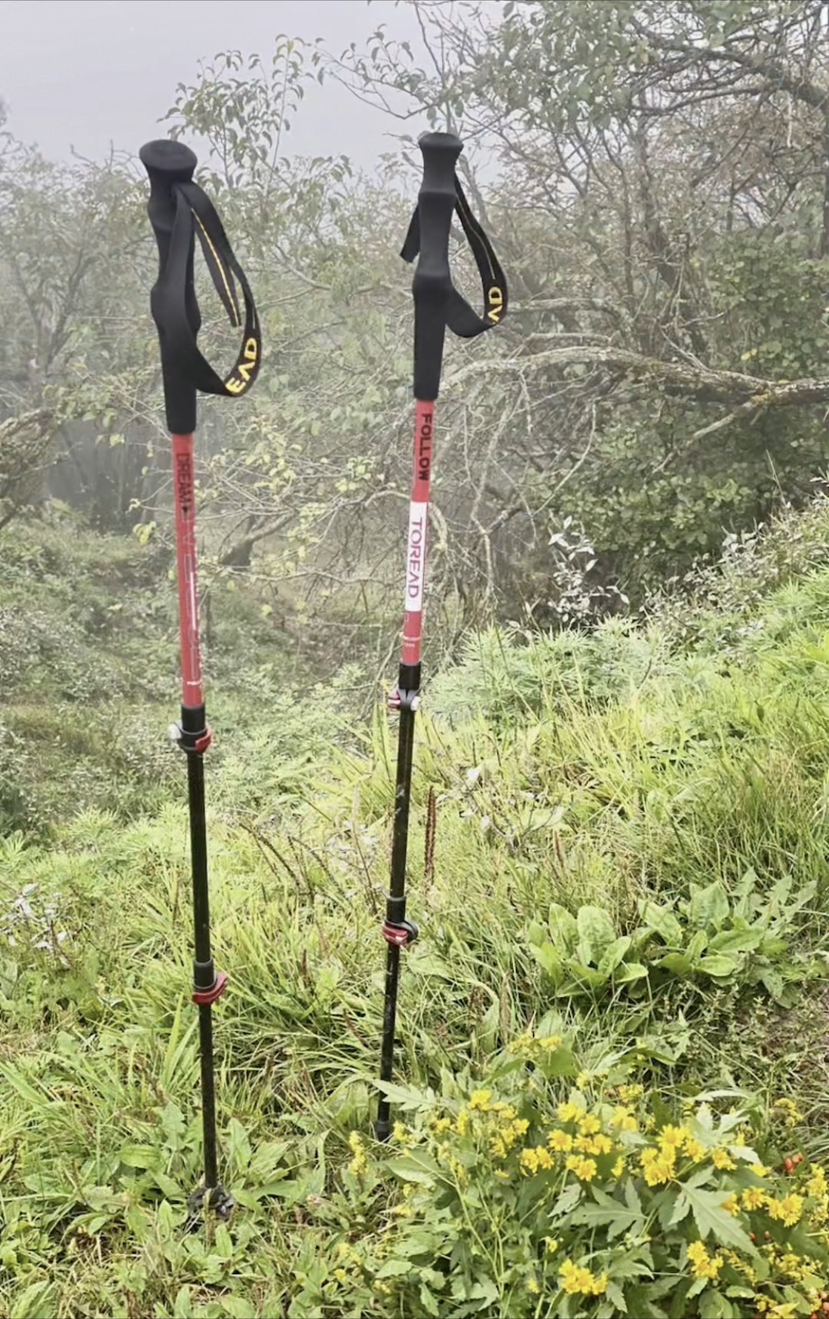 行于途,不究终点,沿途皆风景