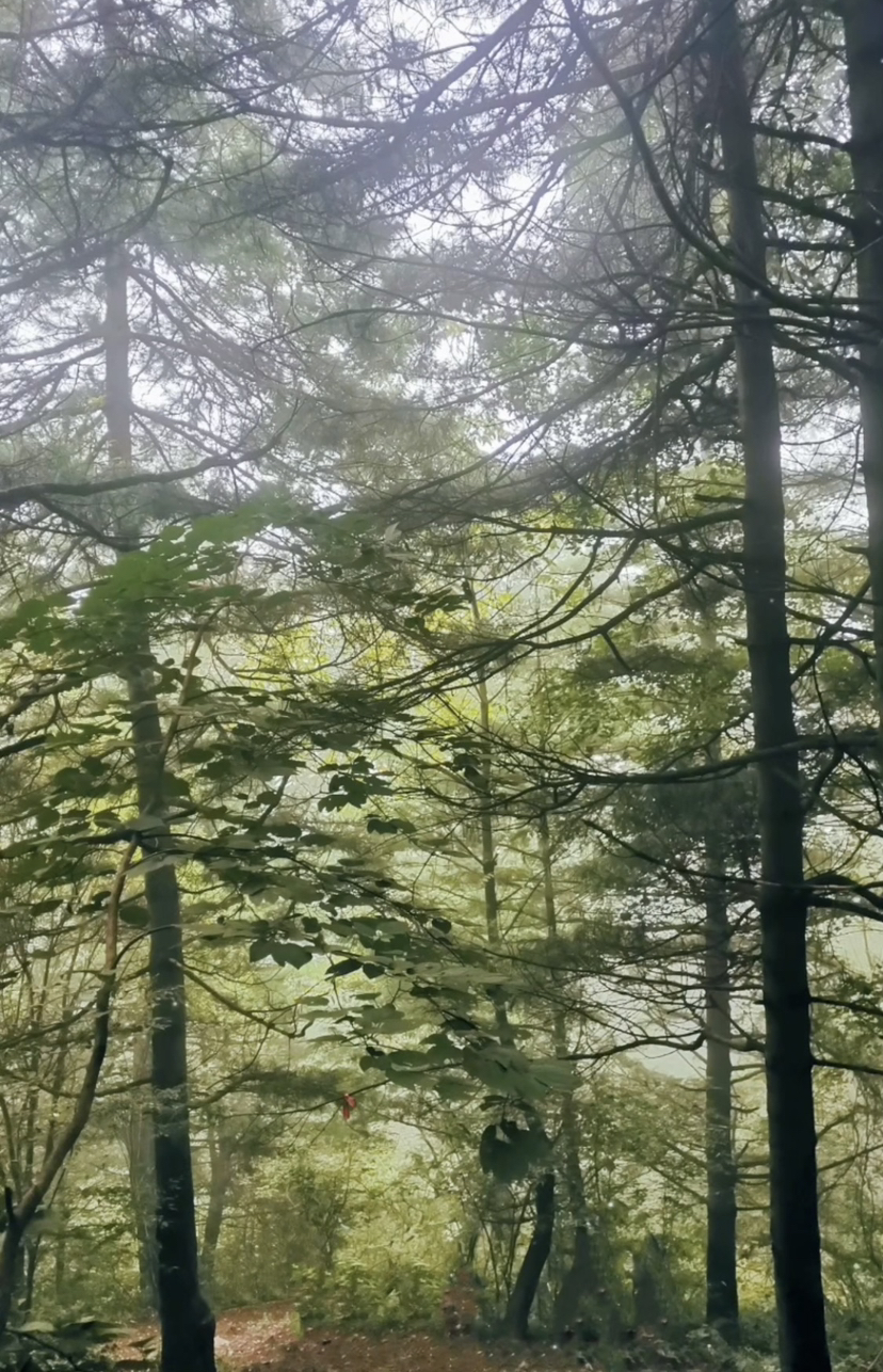 行于途,不究终点,沿途皆风景