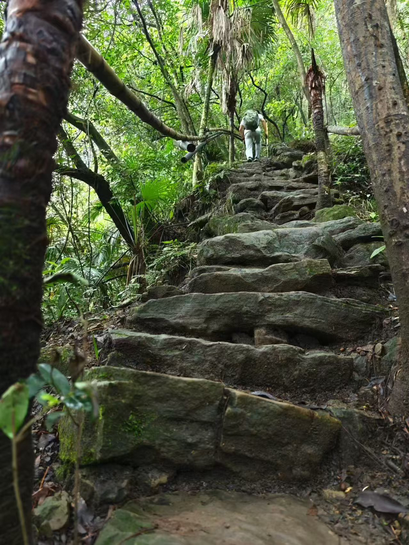 狮子山