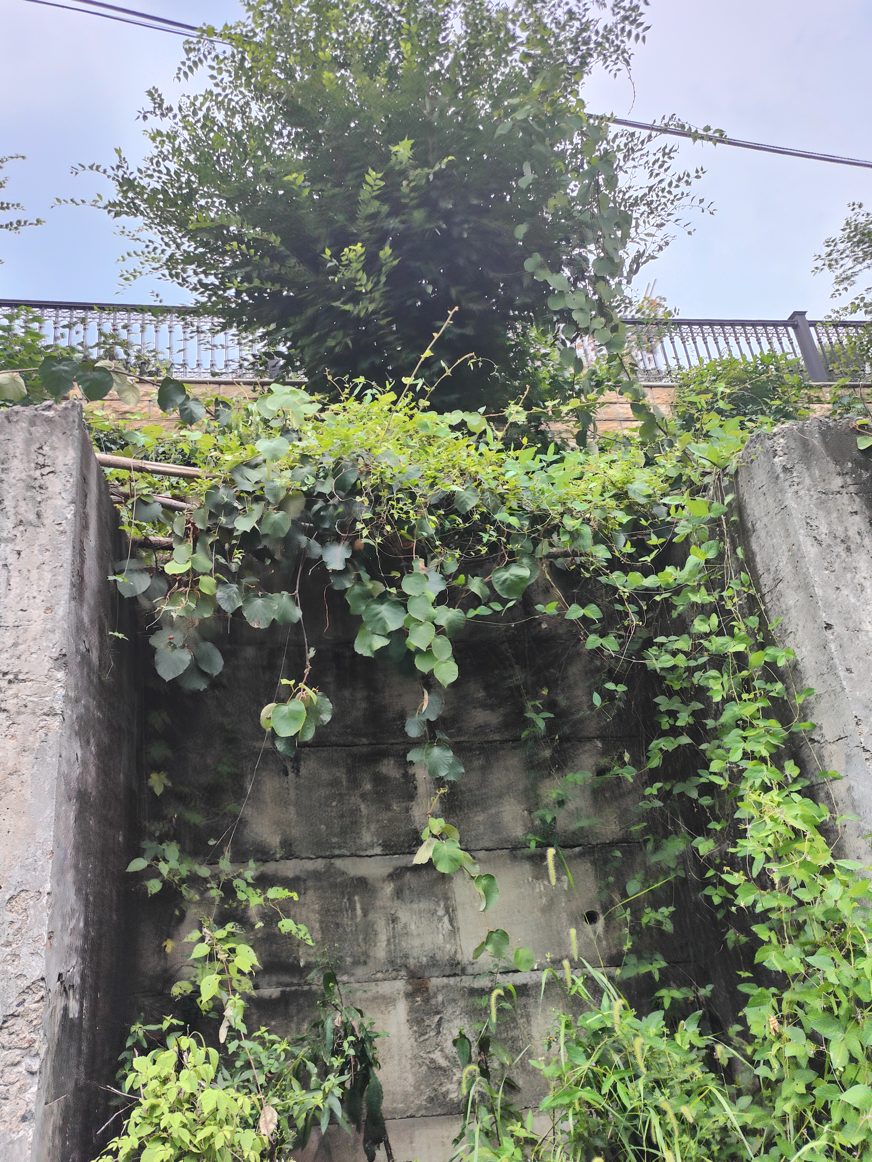 2024.9.10 章里古道（七）