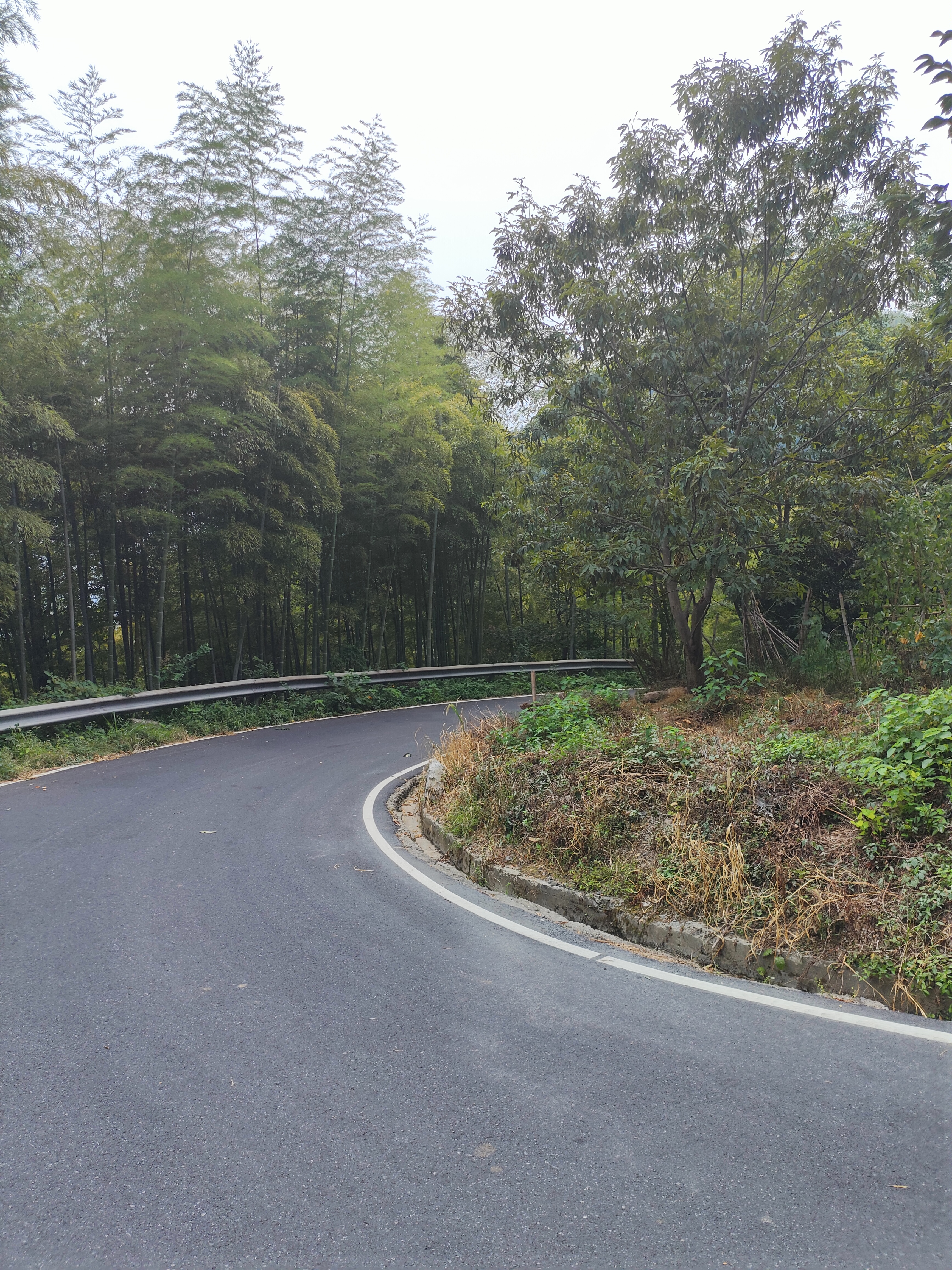 2024.9.10 章里古道（七）