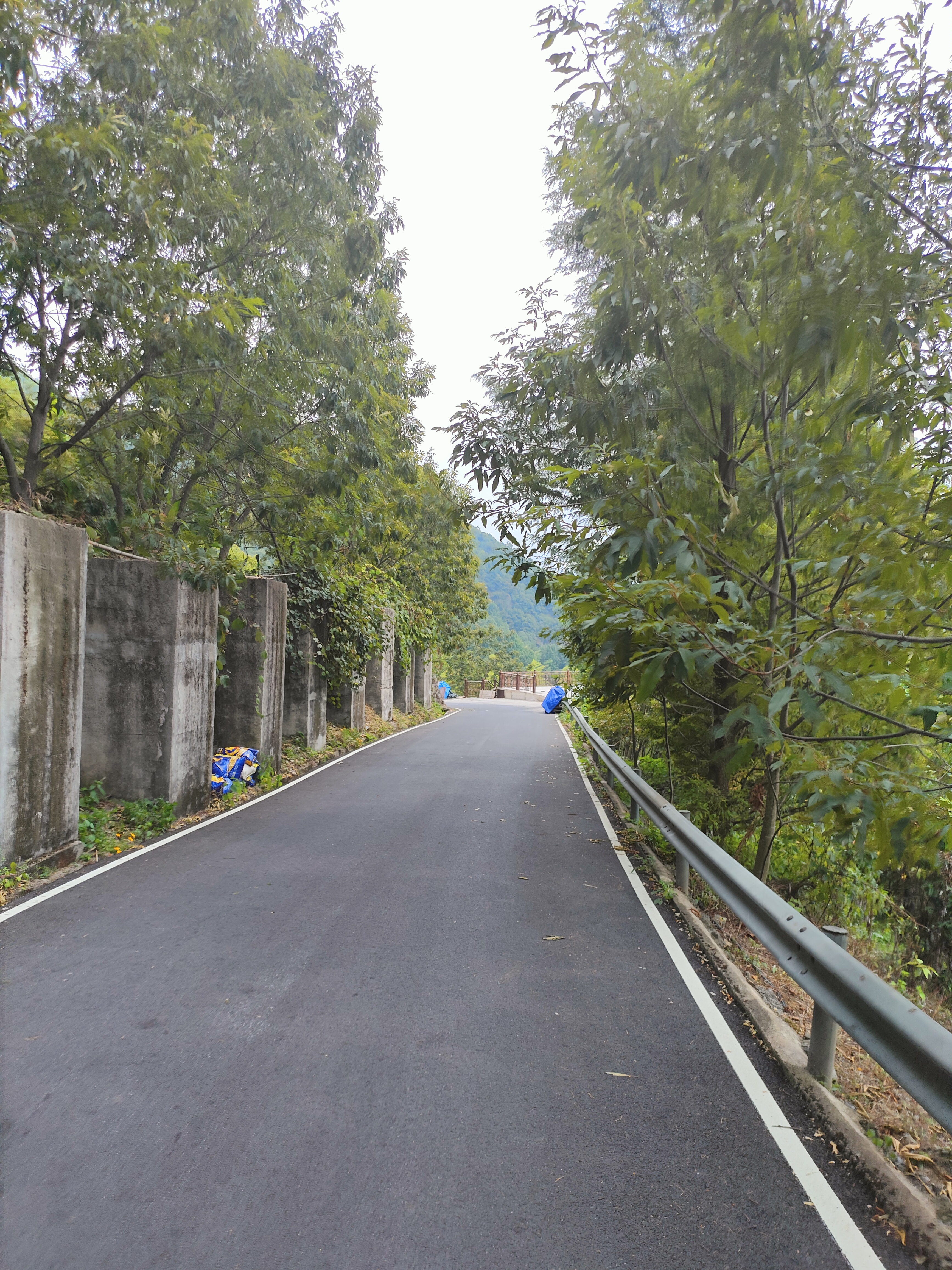 2024.9.10 章里古道（七）