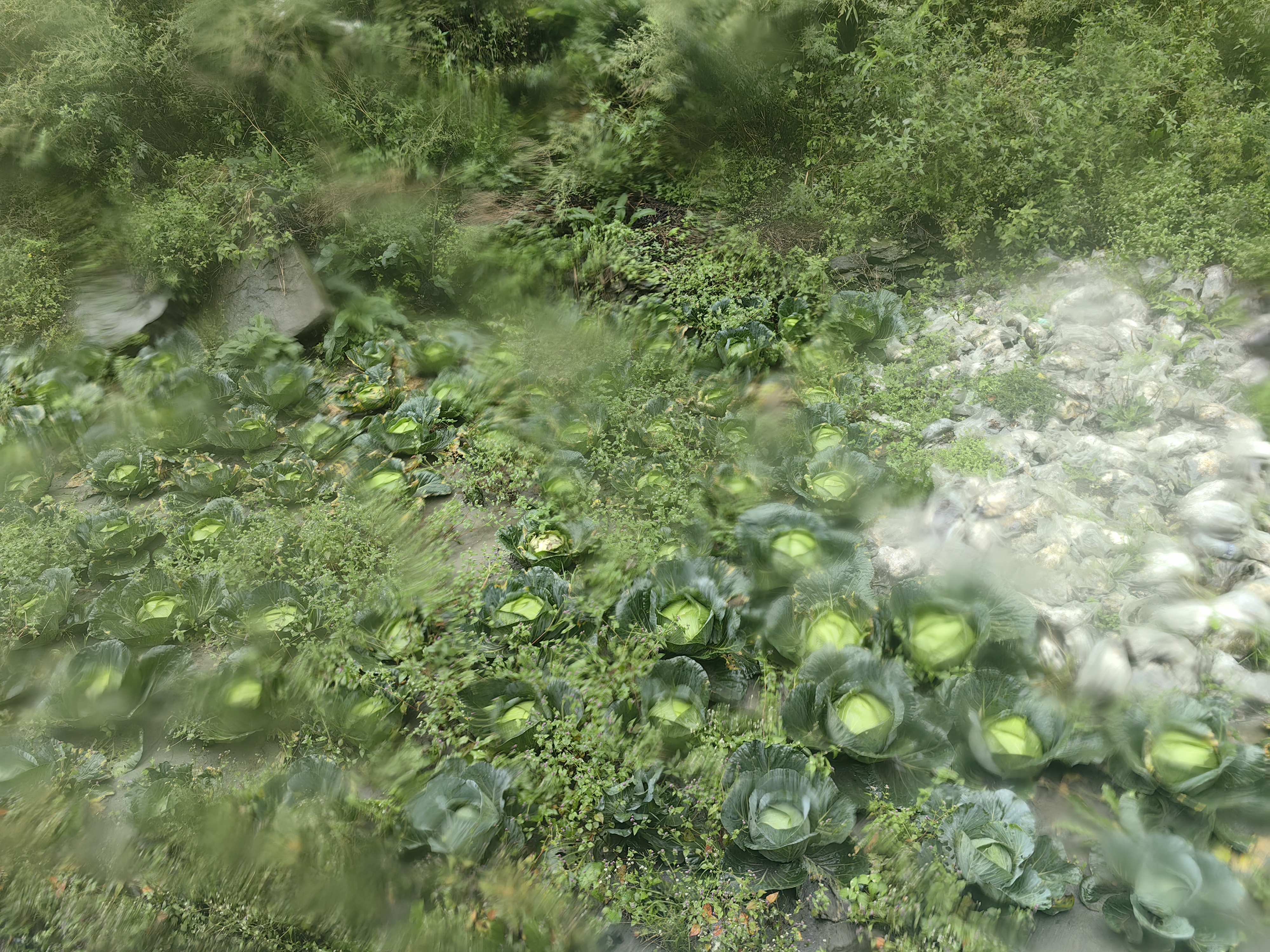 四女孩山