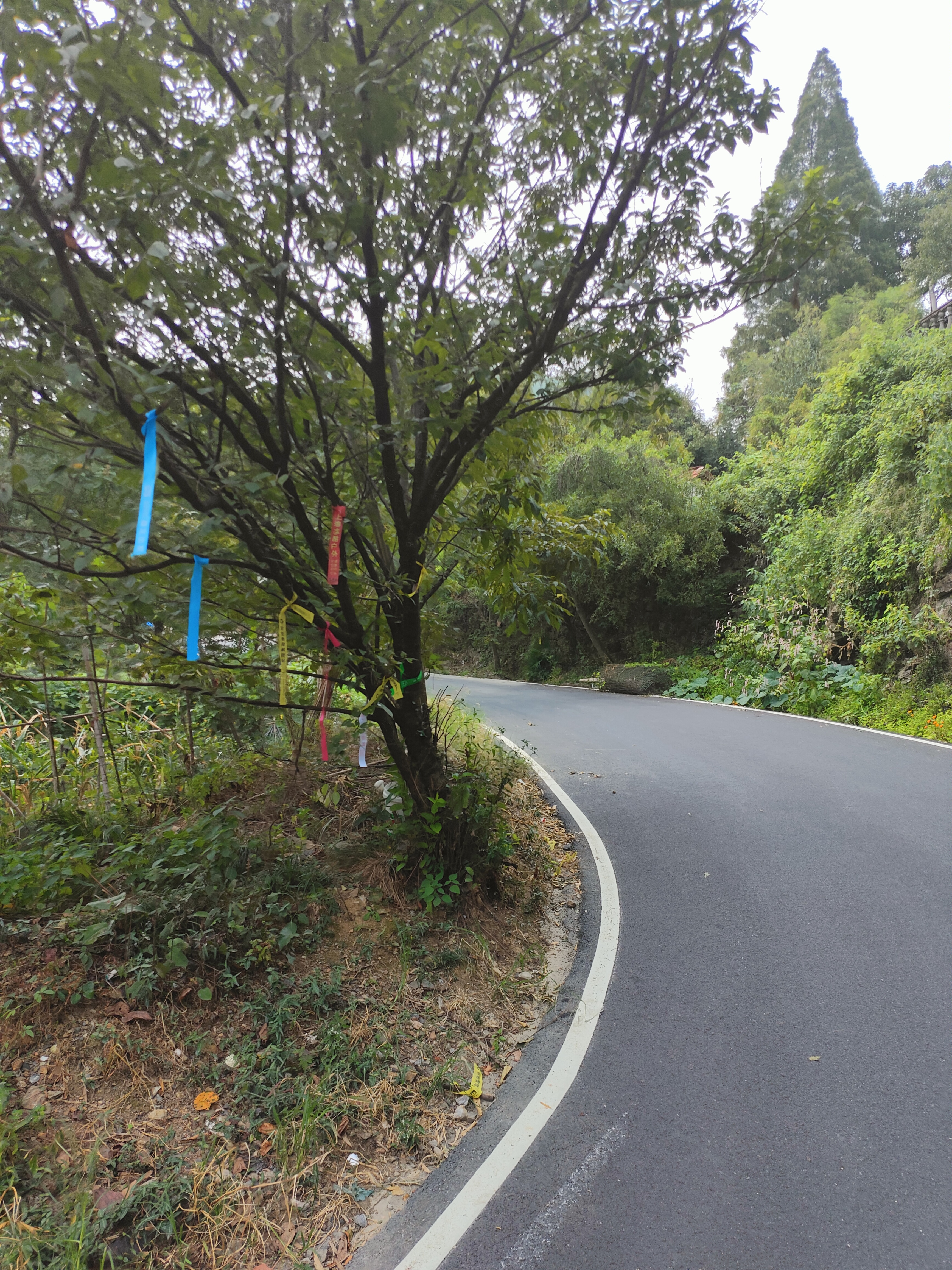 2024.9.10 章里古道（七）