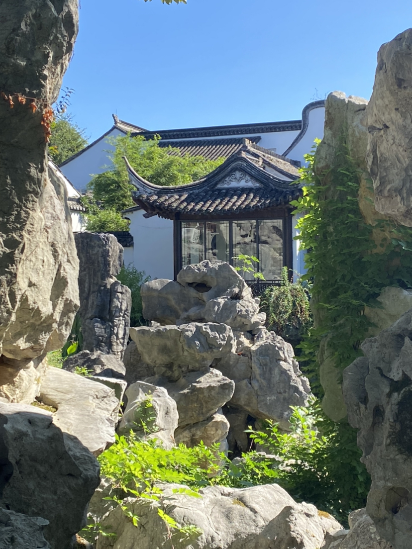 西溪湿地的早晨