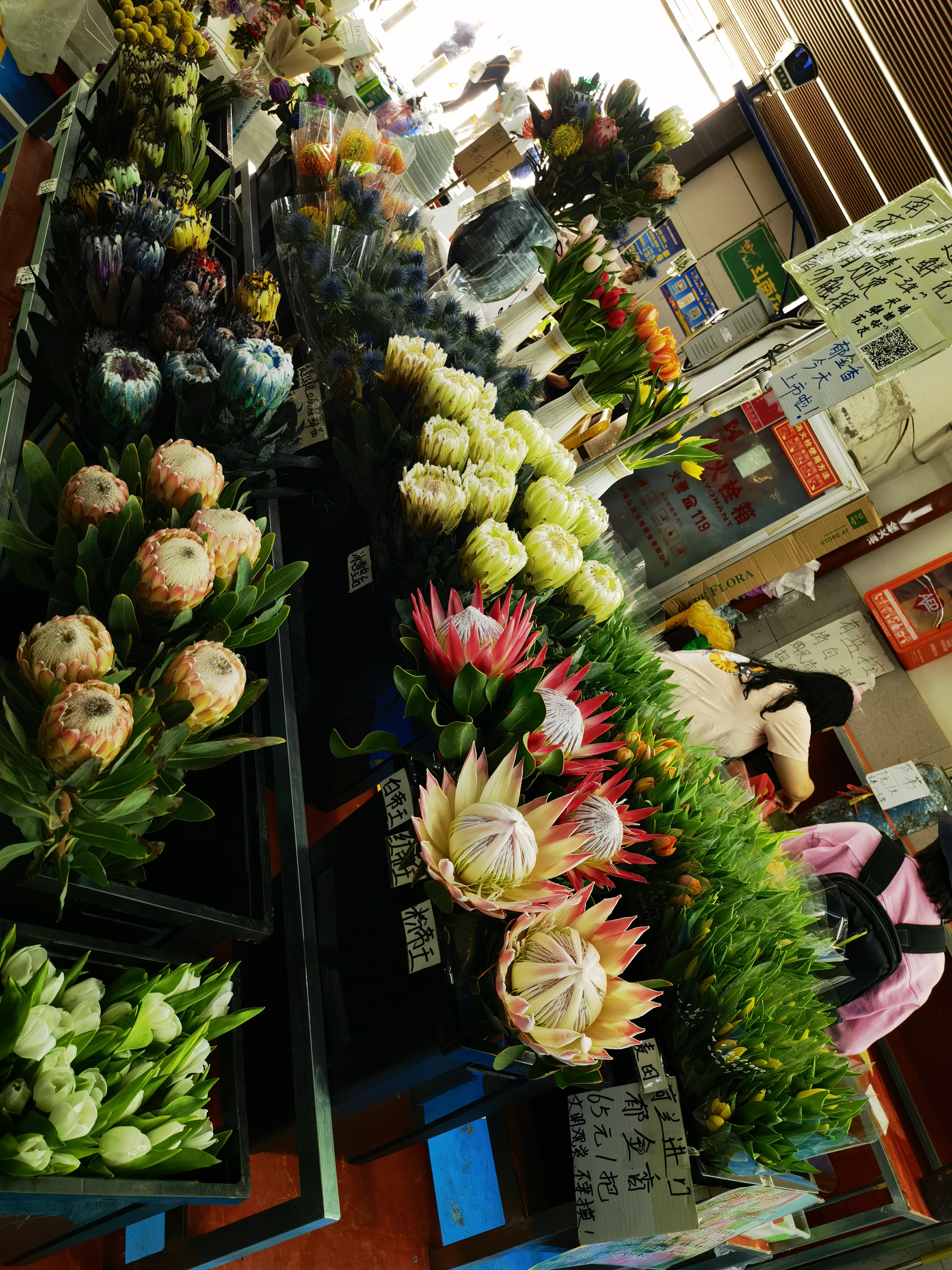 昆明斗南花市