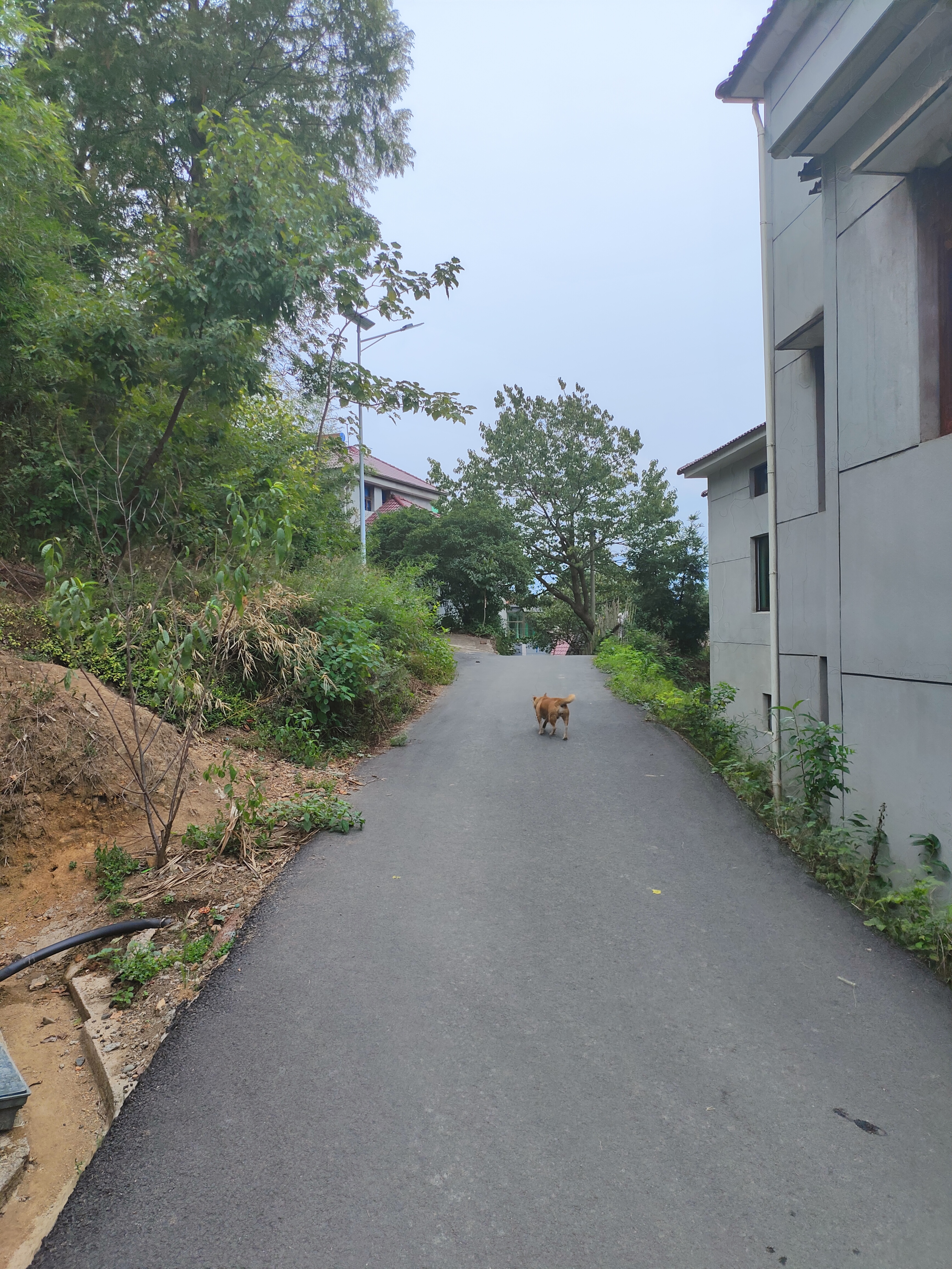 2024.9.10 章里古道(十)