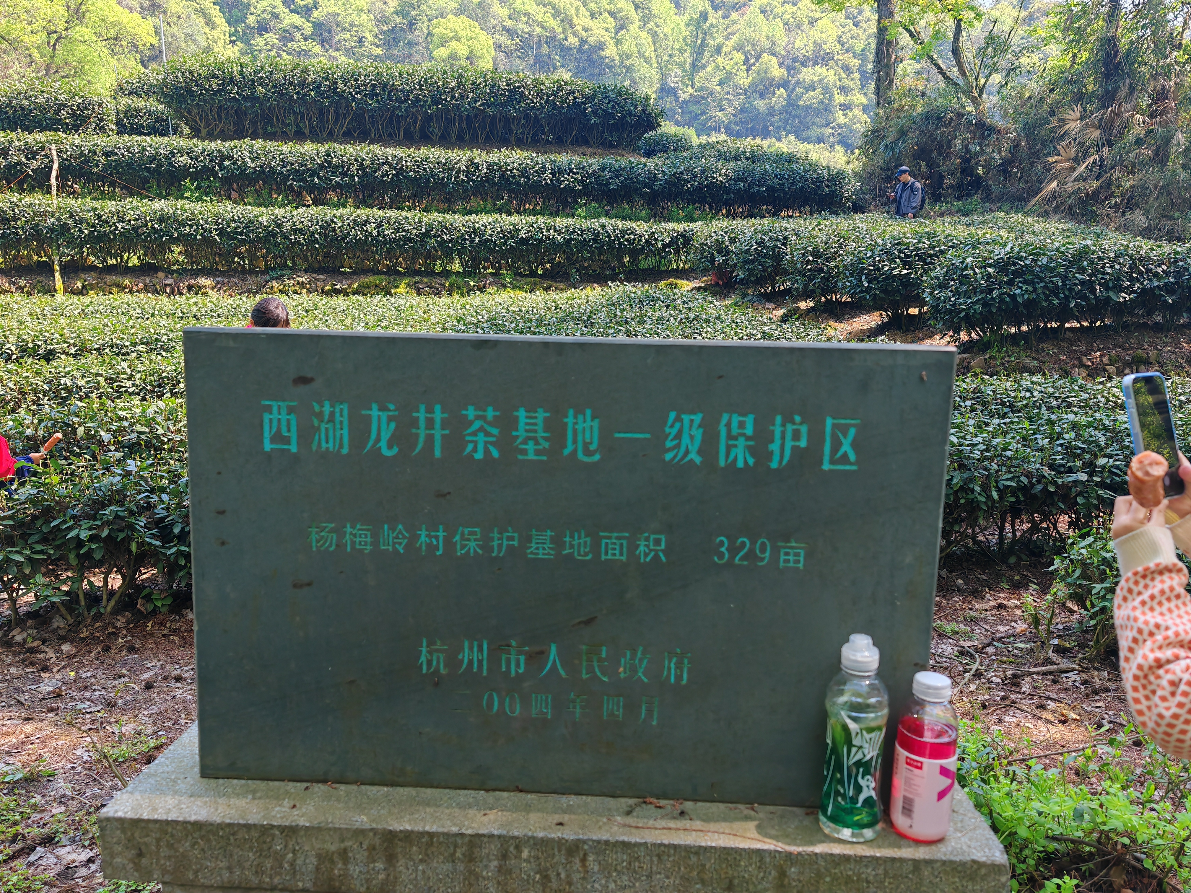 在九溪遇见没办法言说的原始美