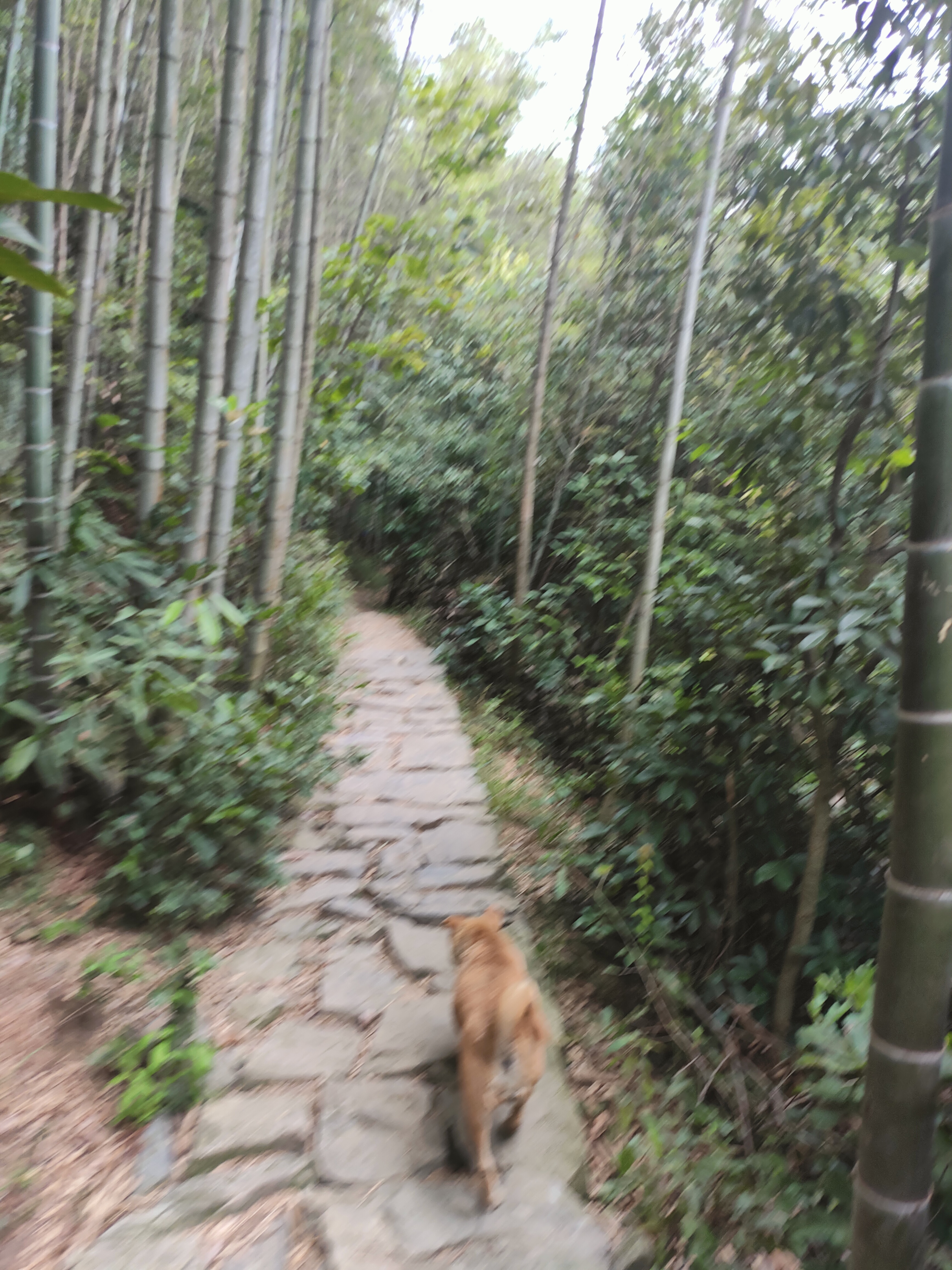 2024.9.10 章里古道（十二）
