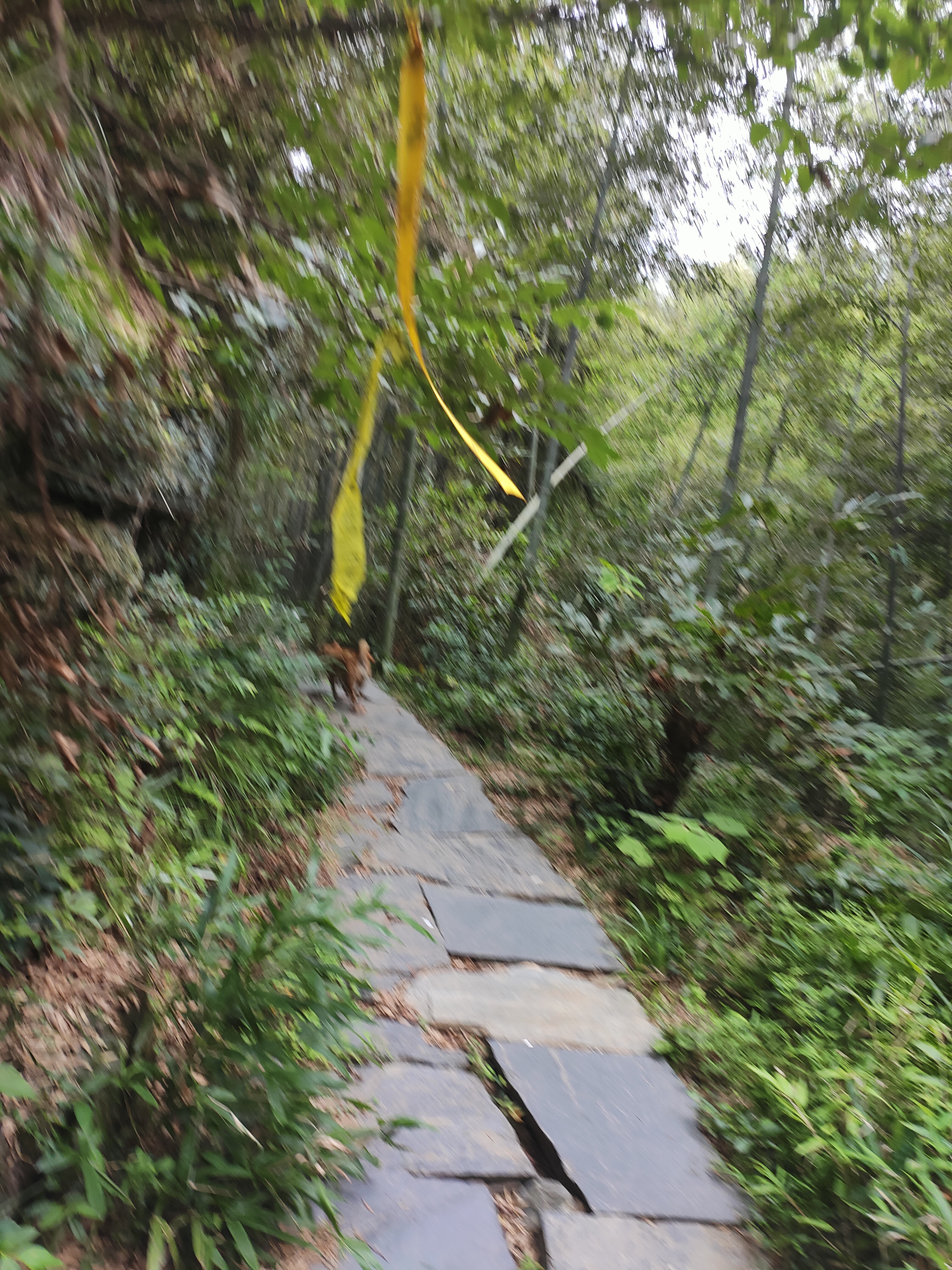 2024.9.10 章里古道（十二）