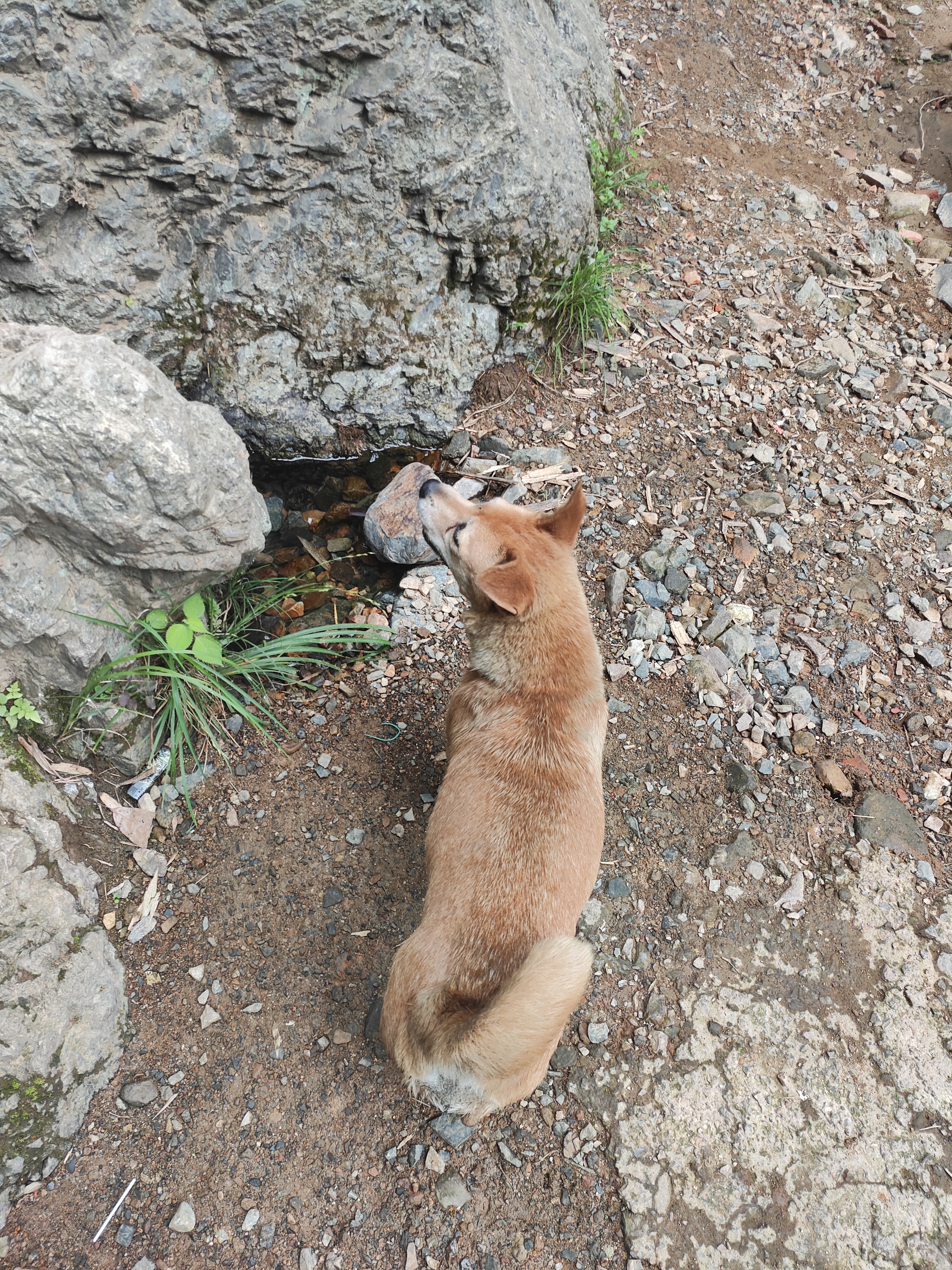 2024.9.10 章里古道（十一）
