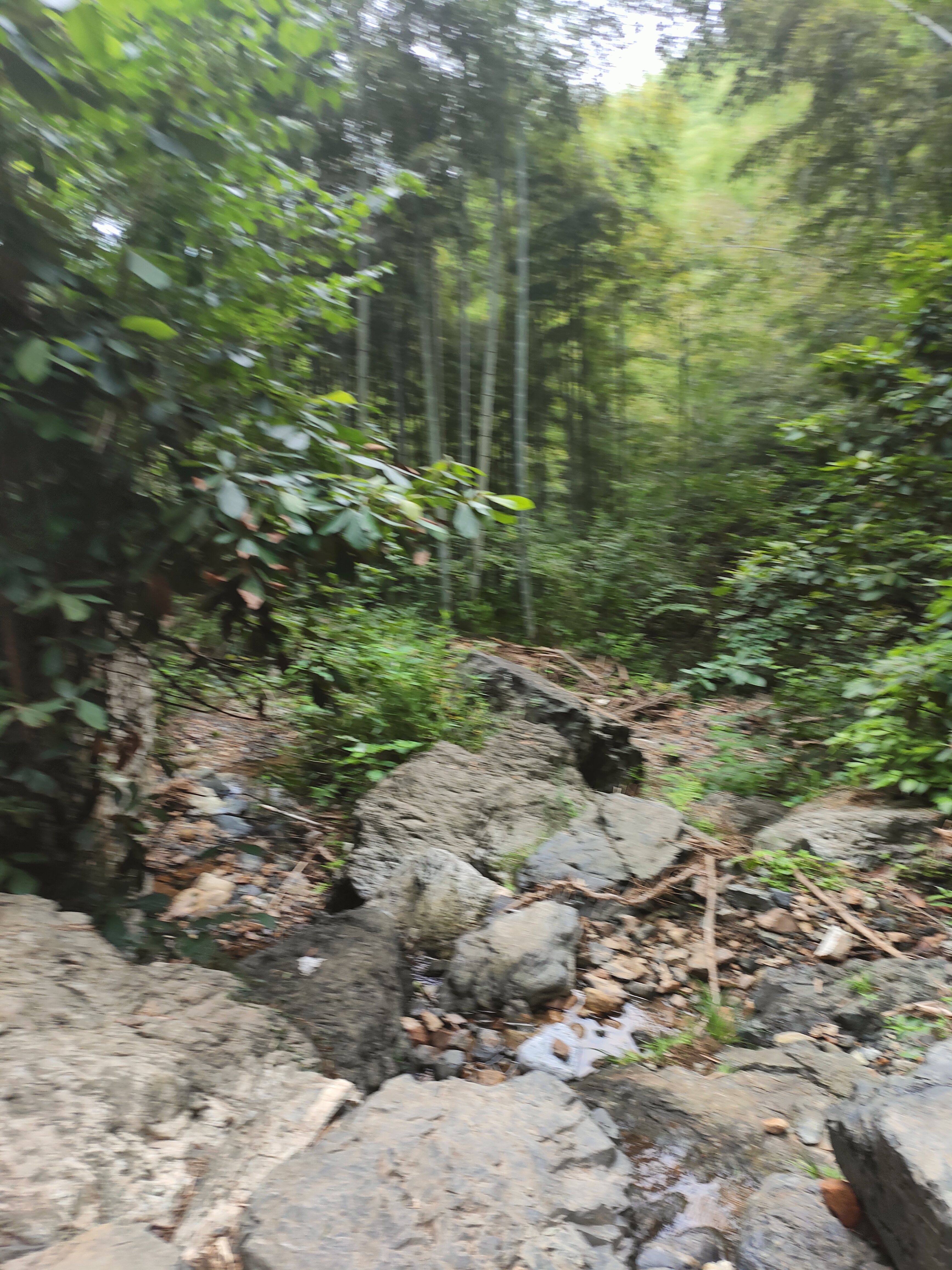 2024.9.10 章里古道（十一）