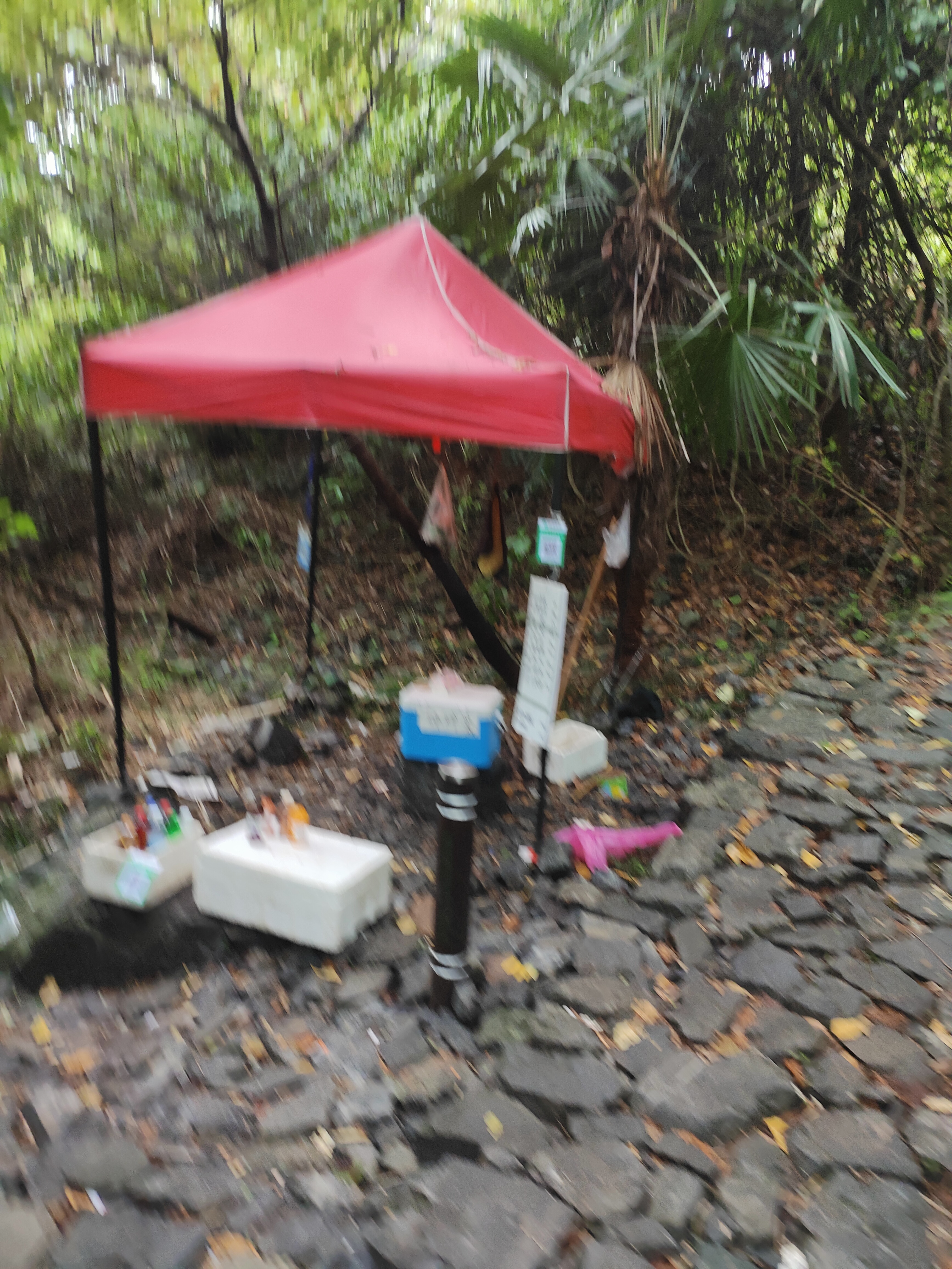 2024.9.10 章里古道（十四）