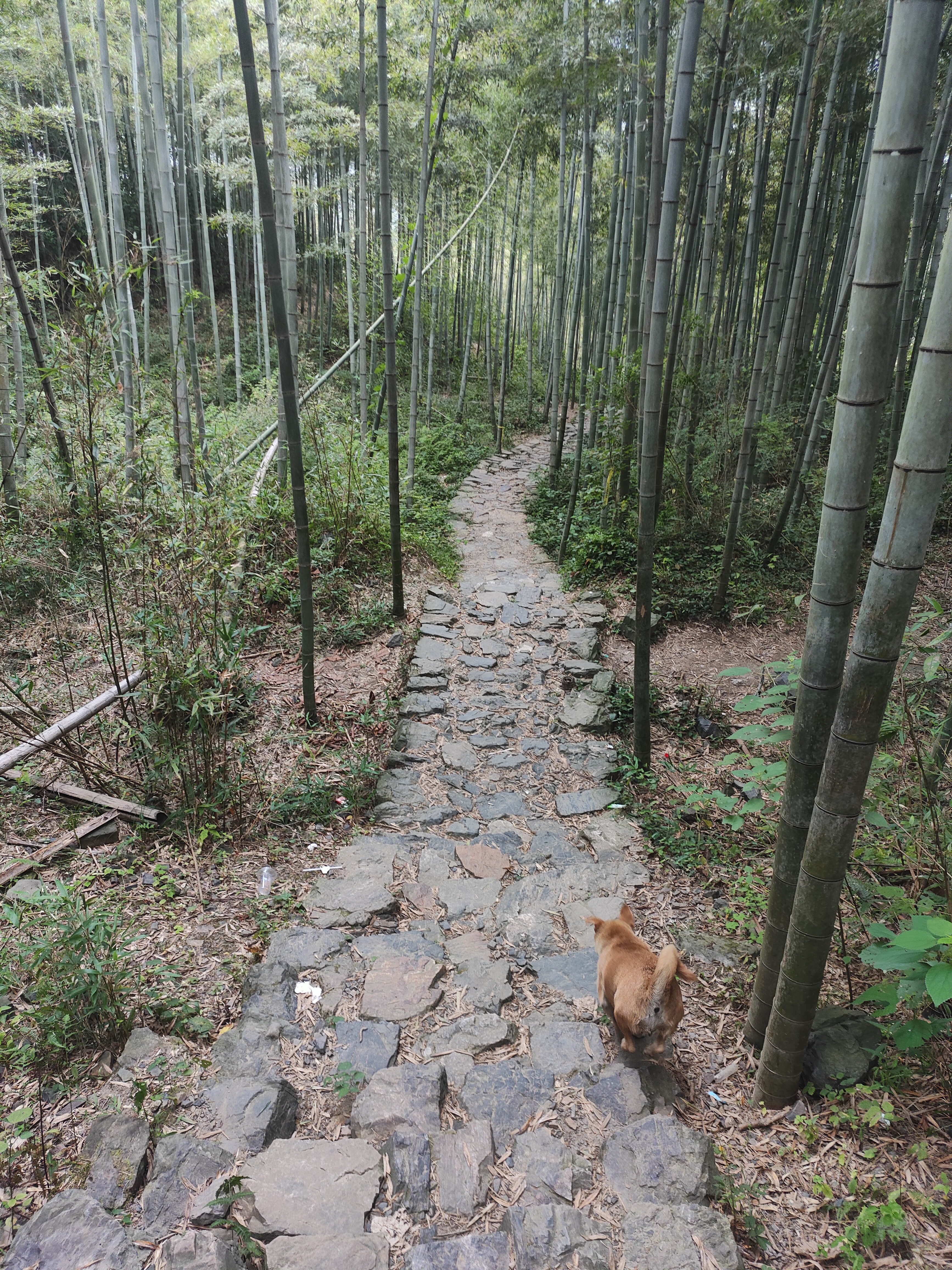 2024.9.10 章里古道（十四）