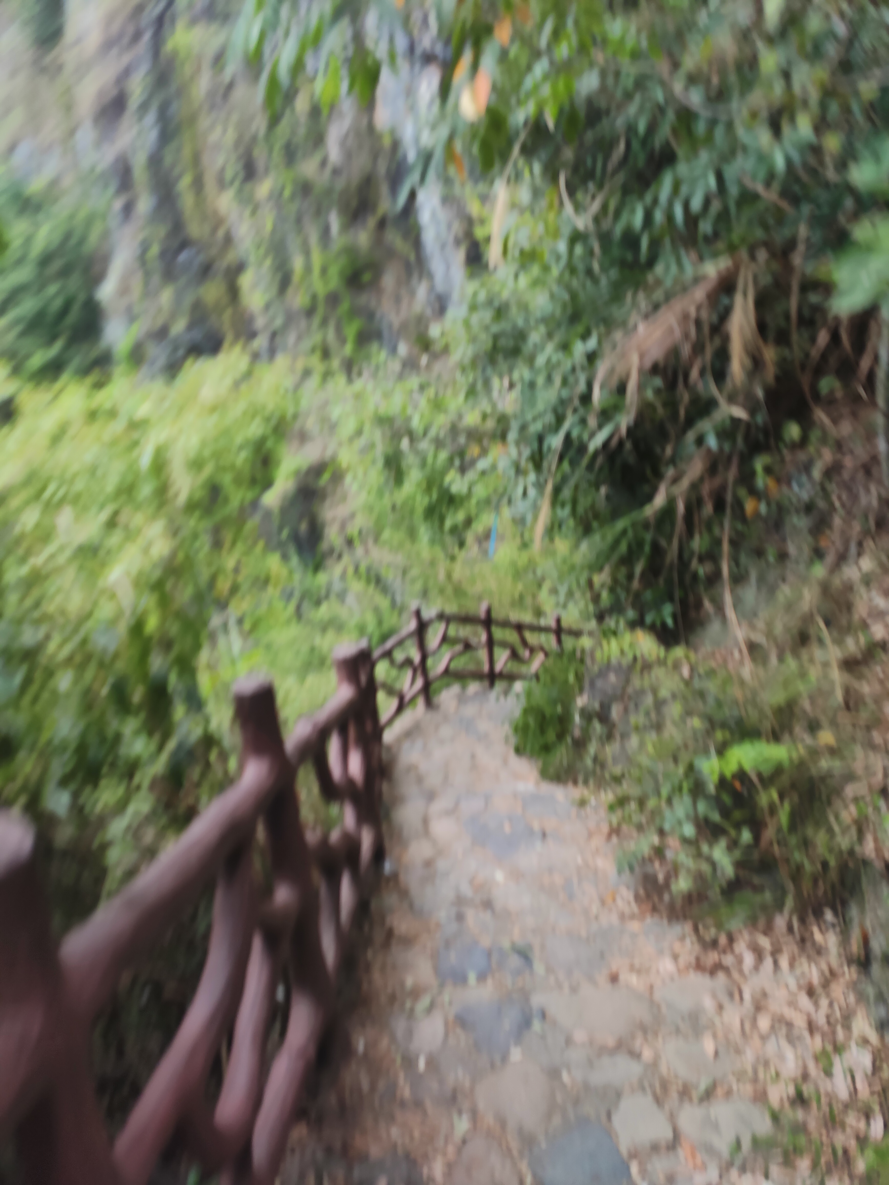 2024.9.10 章里古道（十四）