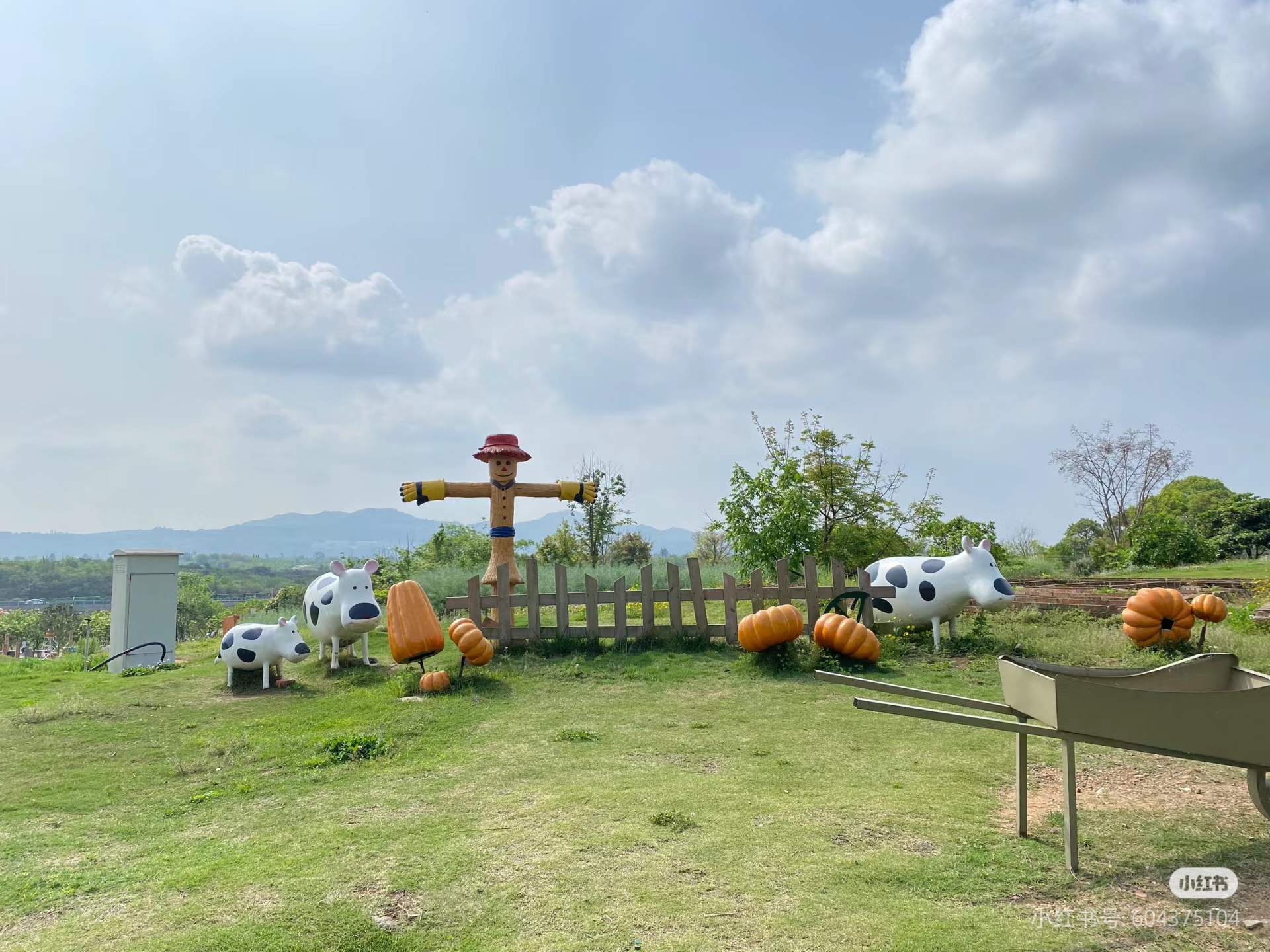 我的田园