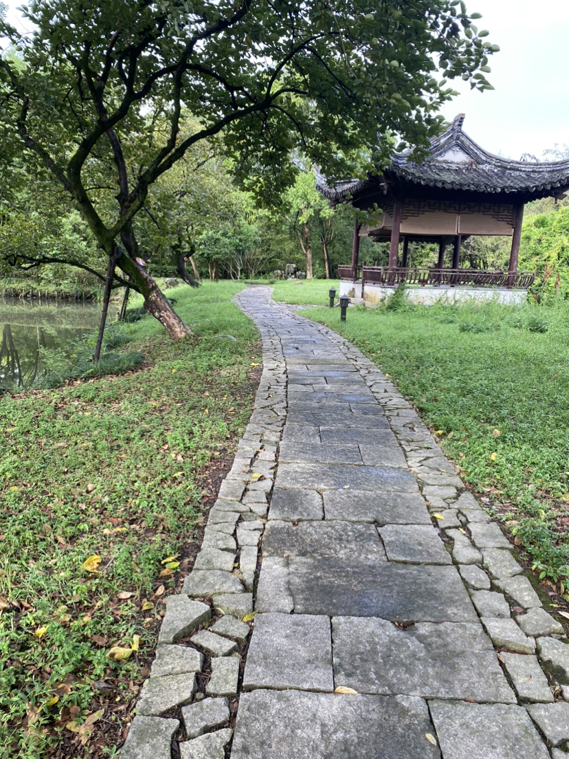 西溪湿地的光与影