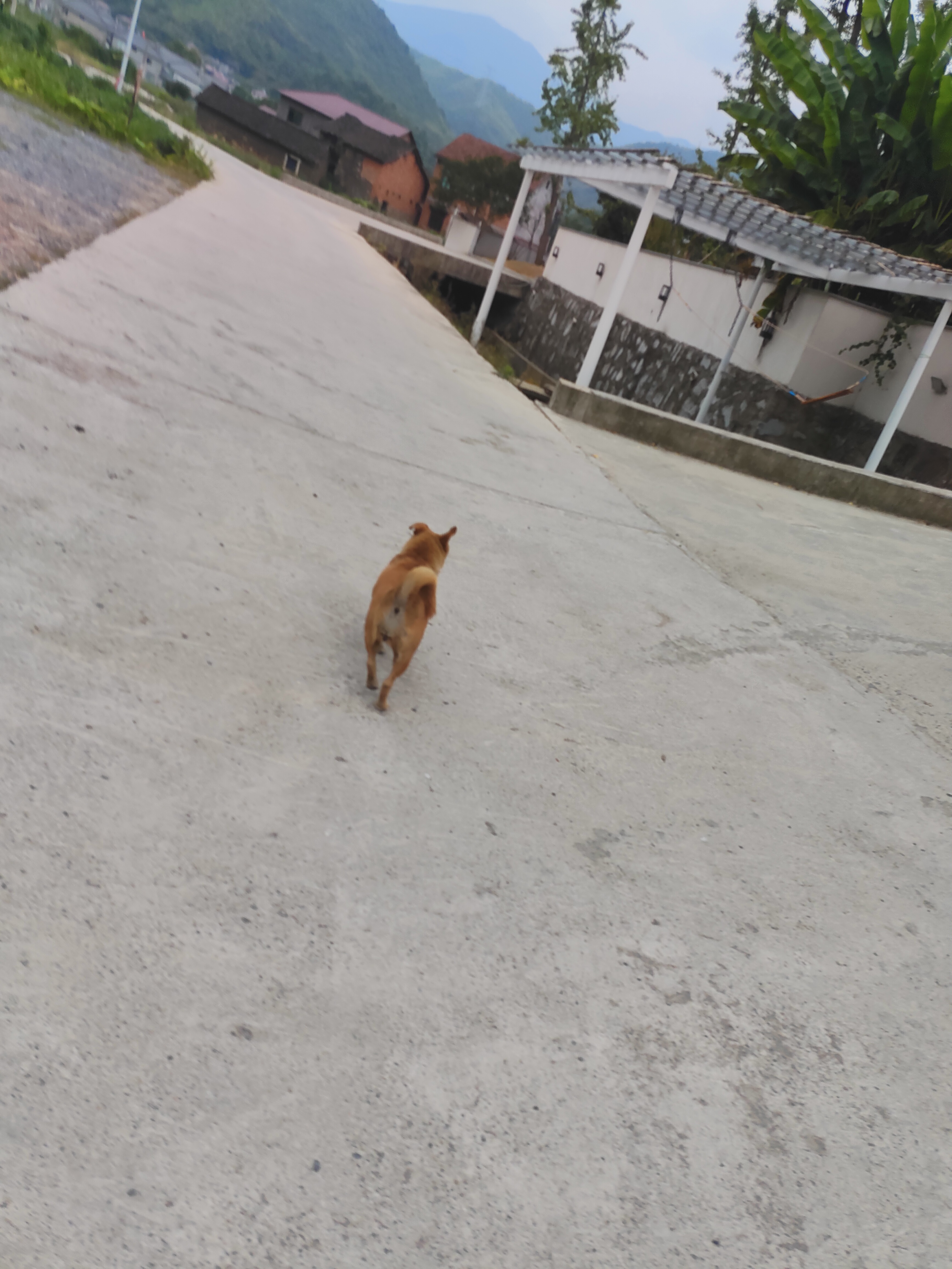 2024.9.10 章里古道(十七)