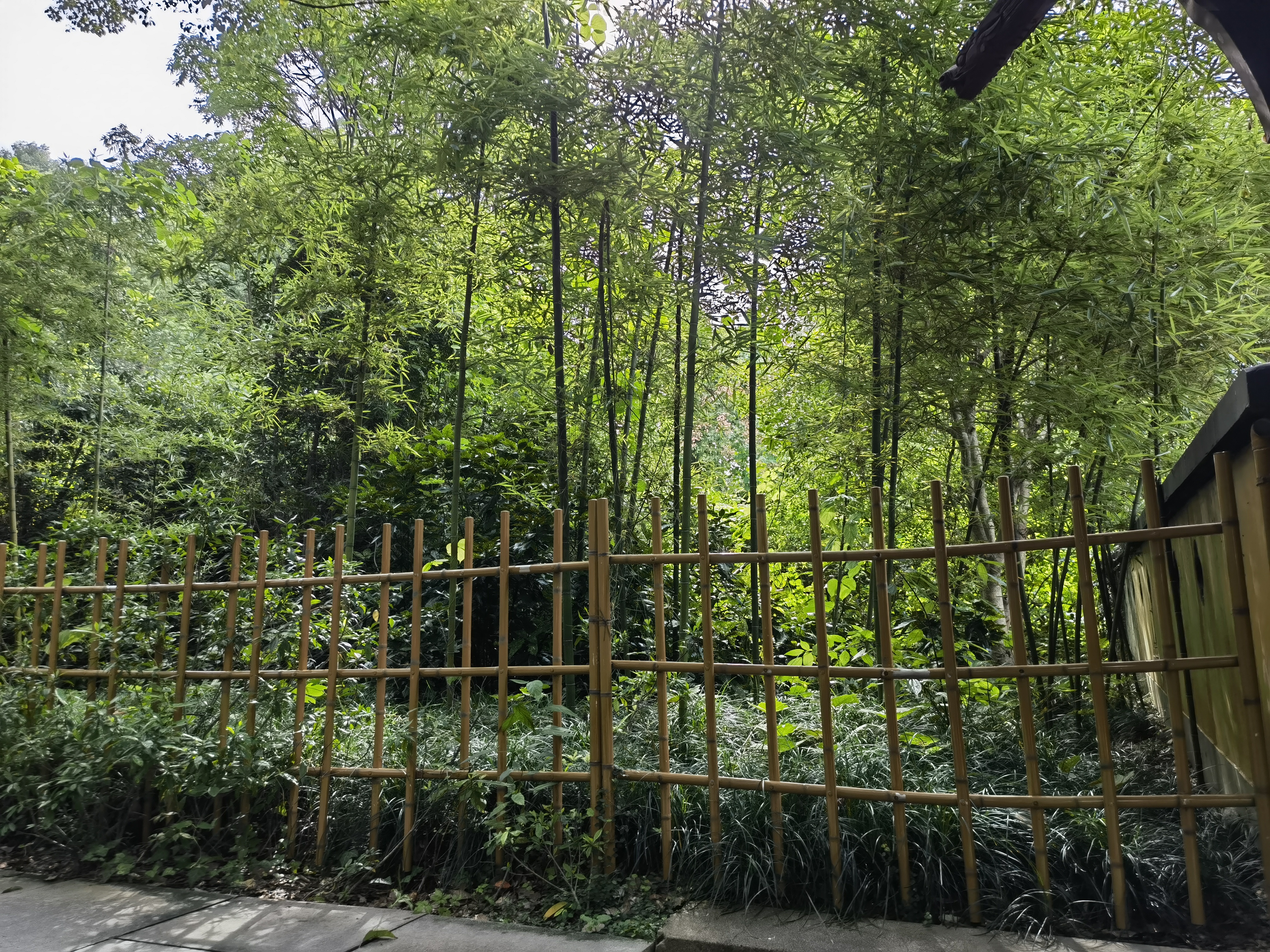 西湖