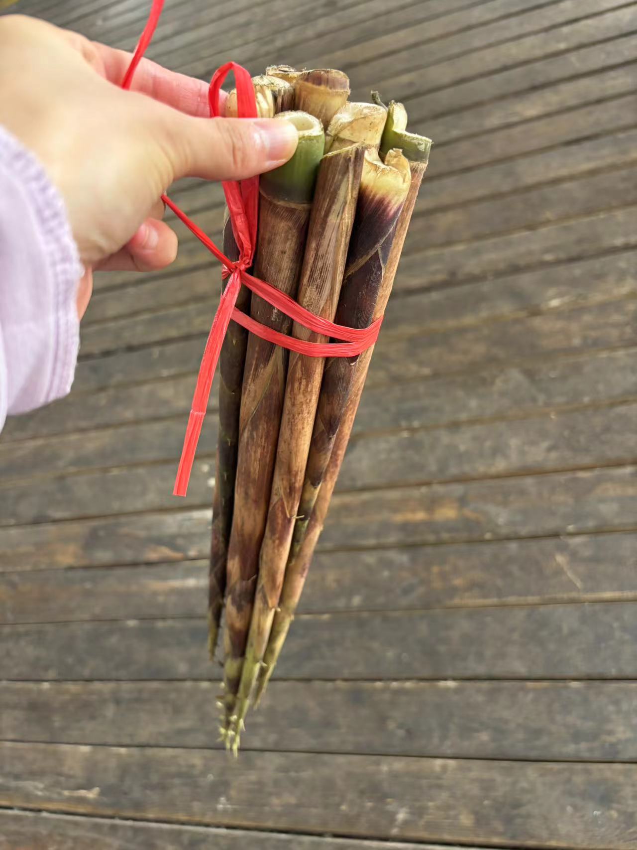 龙苍沟