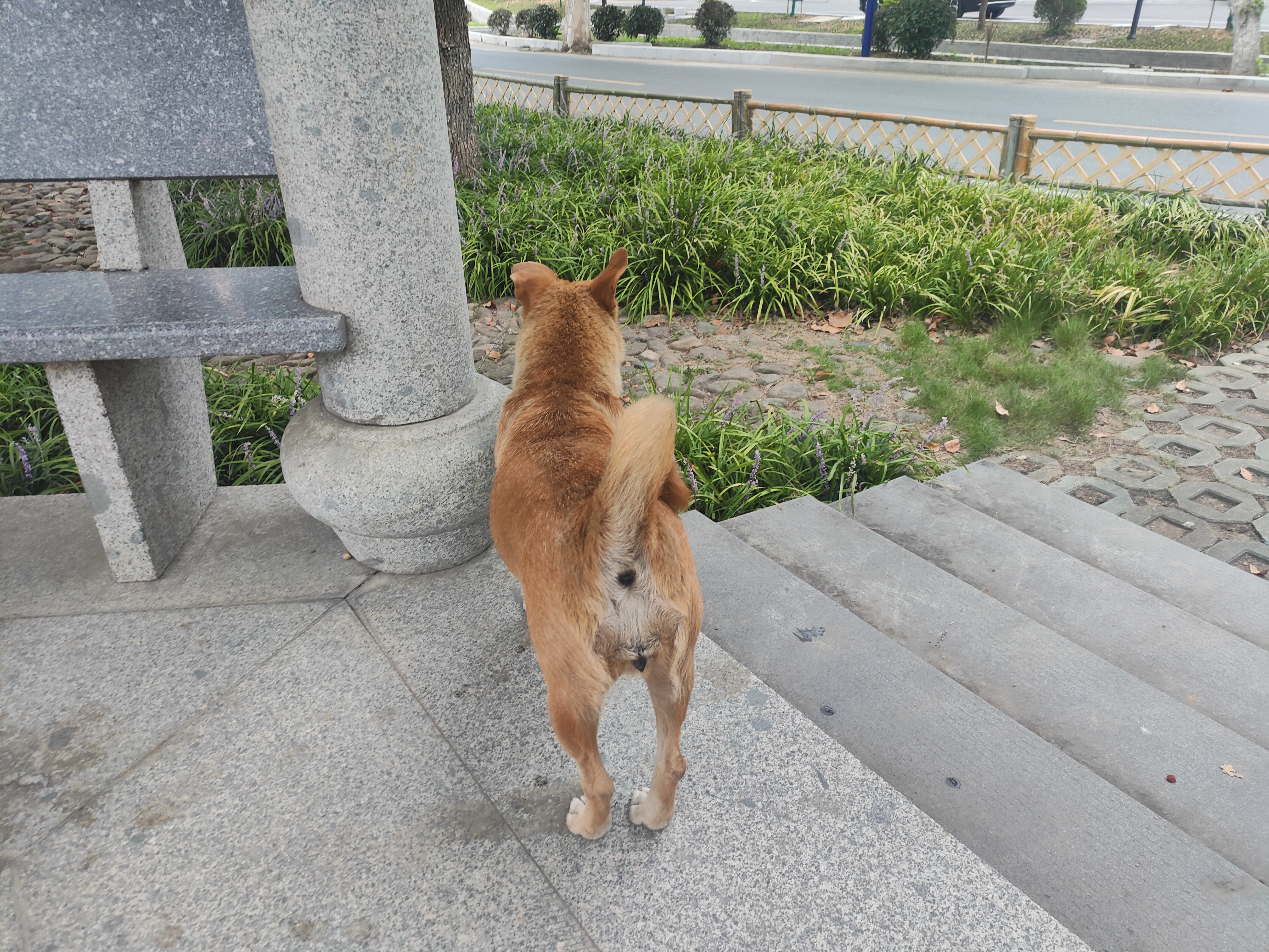 2024.9.10 章里古道(十七)