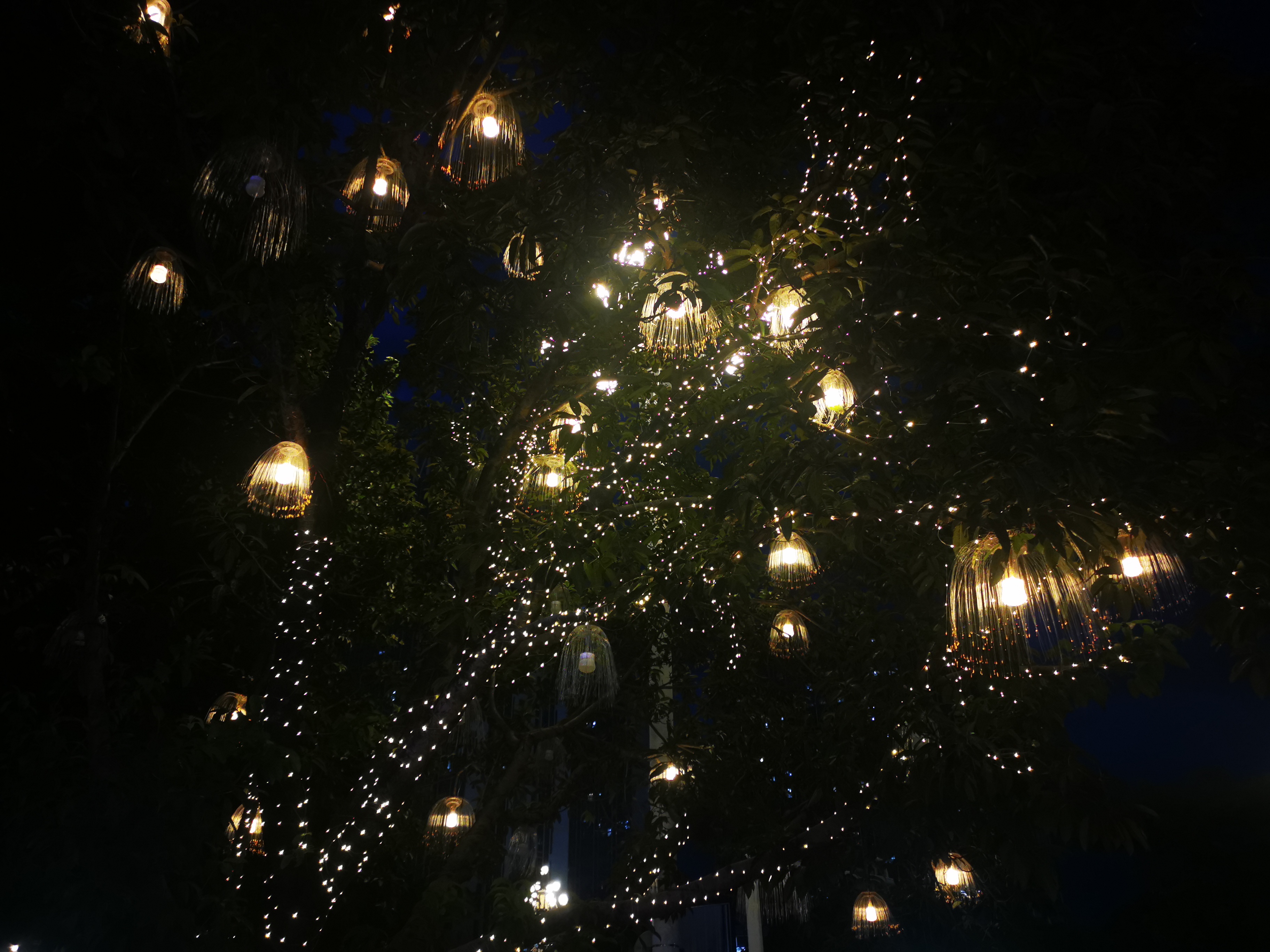 夜景