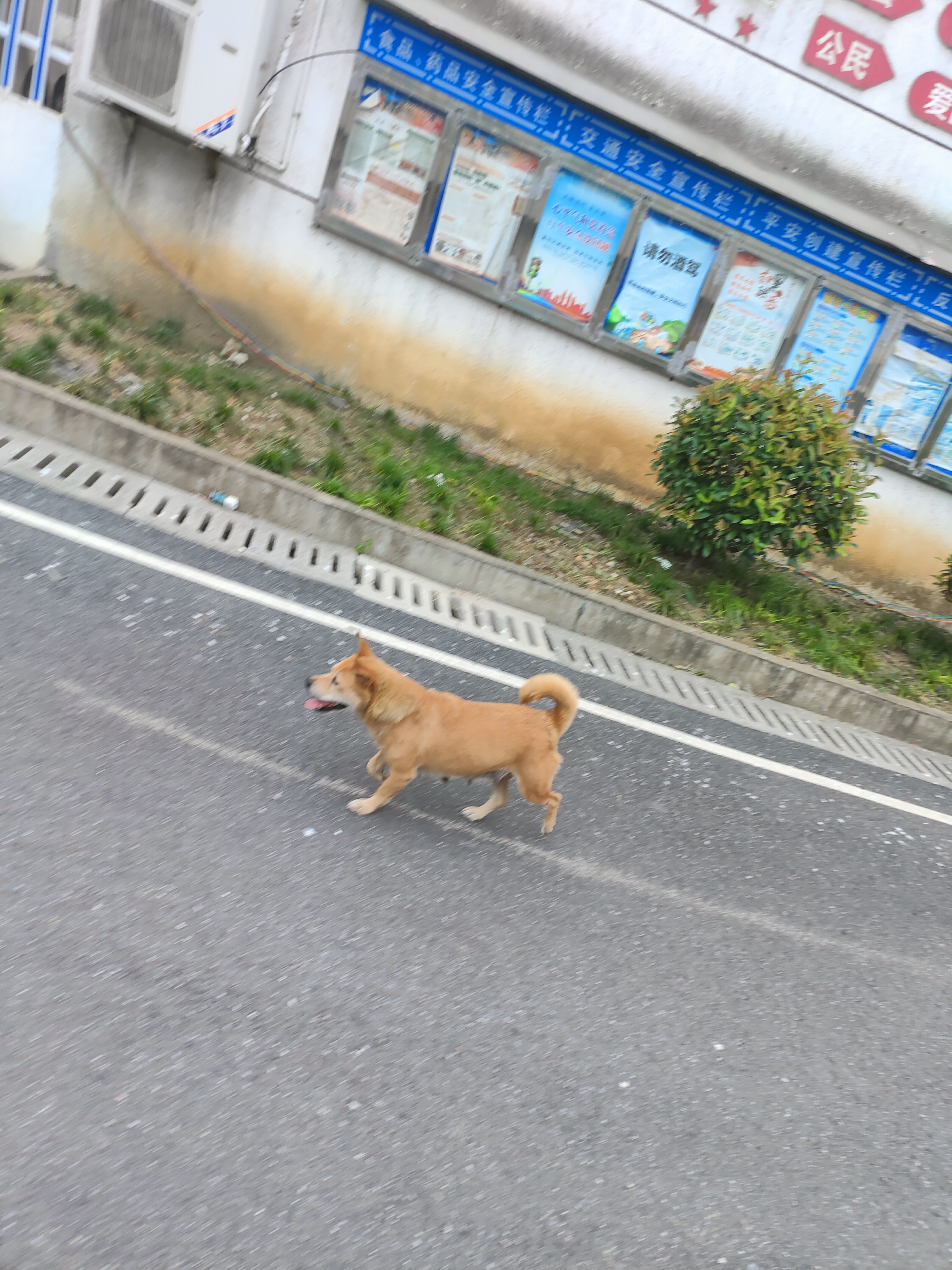 2024.9.10 章里古道(十七)