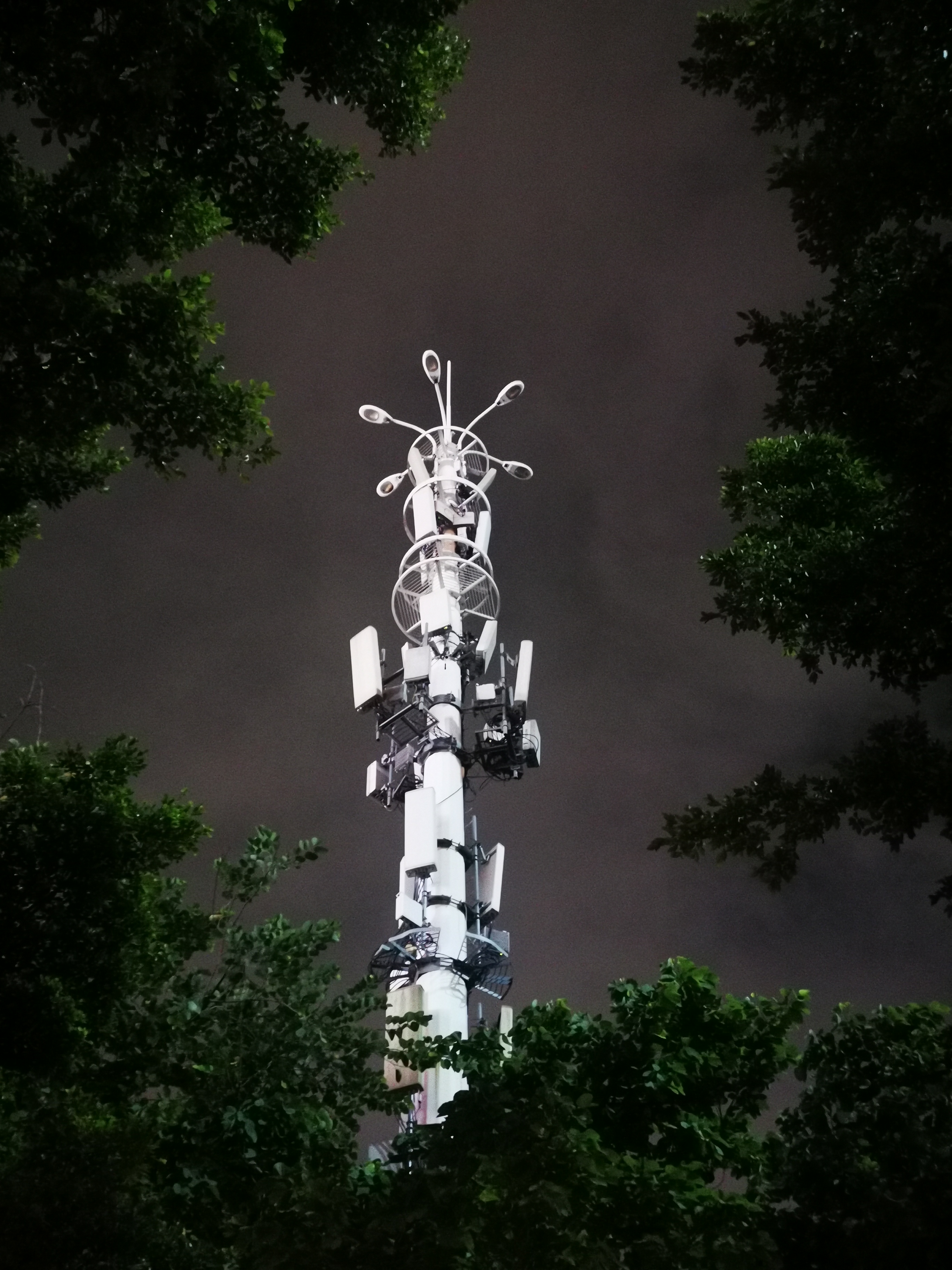 夜景
