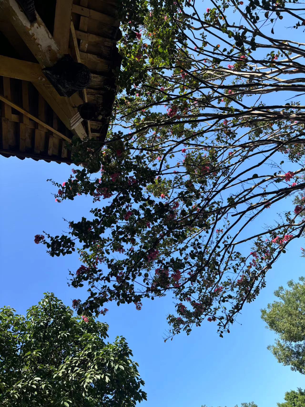 新津1日游
