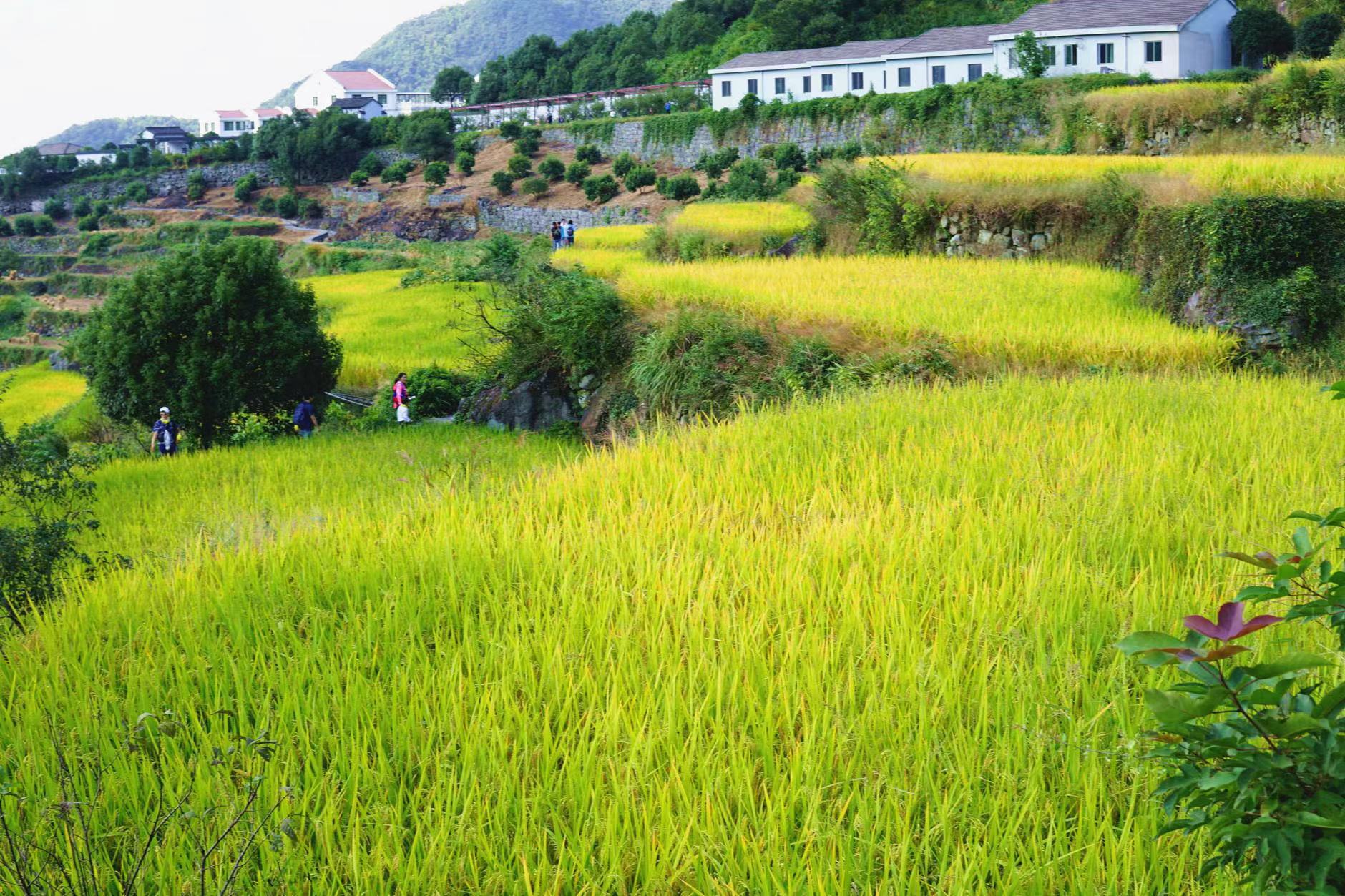 覆卮山游玩