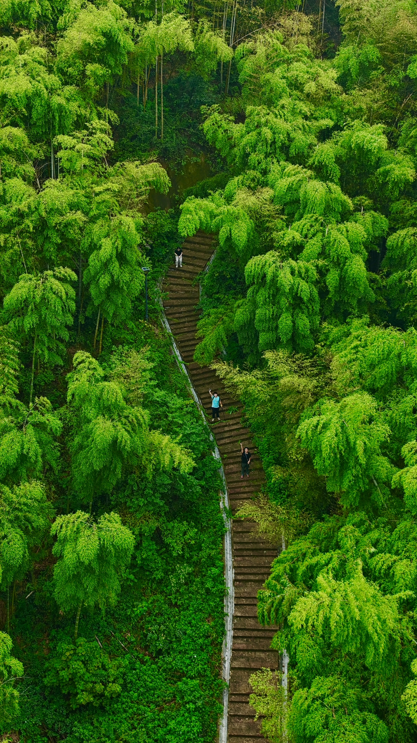 杭宣古道·独松关