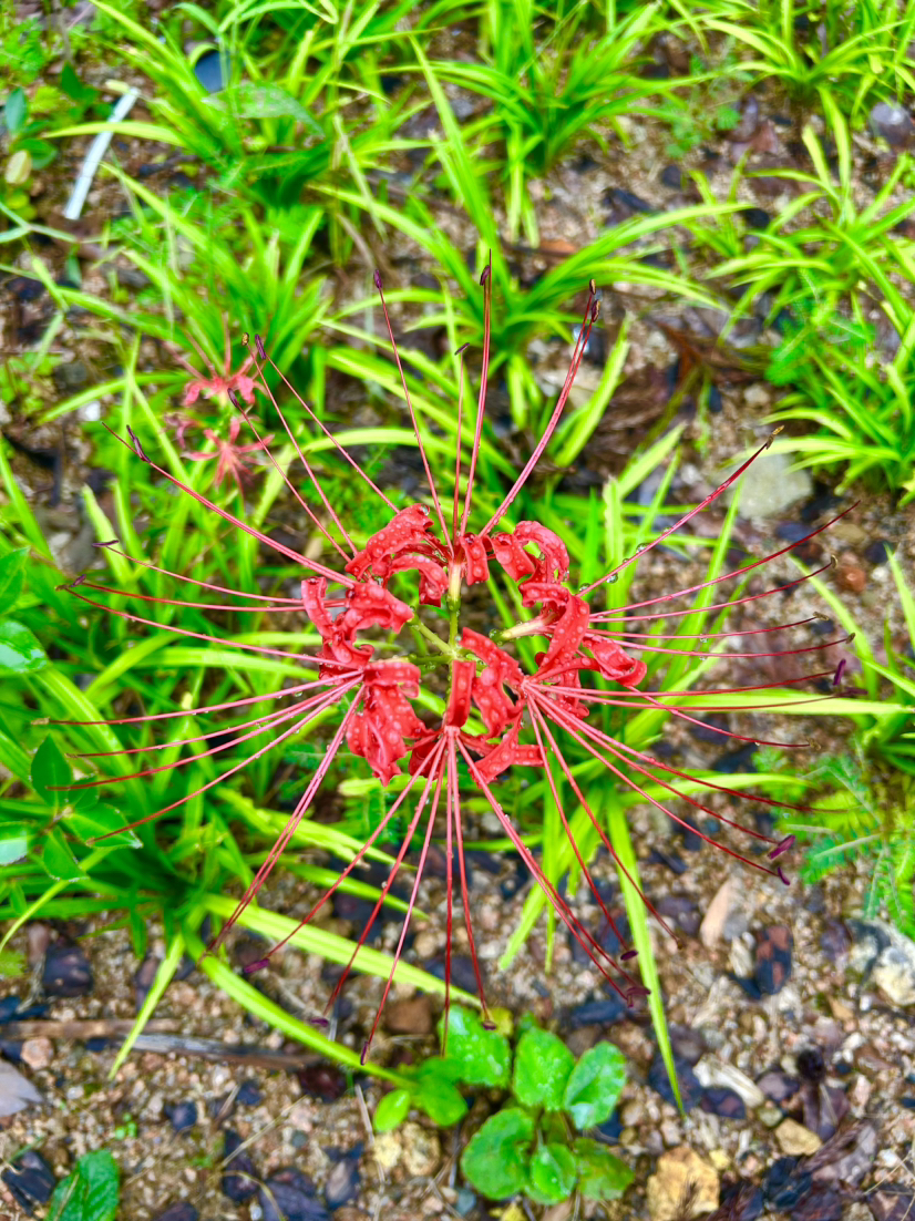 杭宣古道·独松关