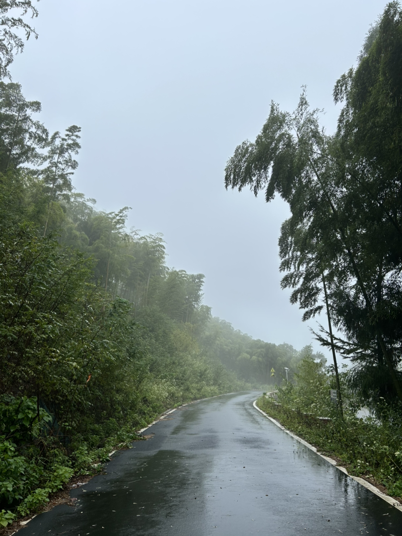 杭宣古道·独松关