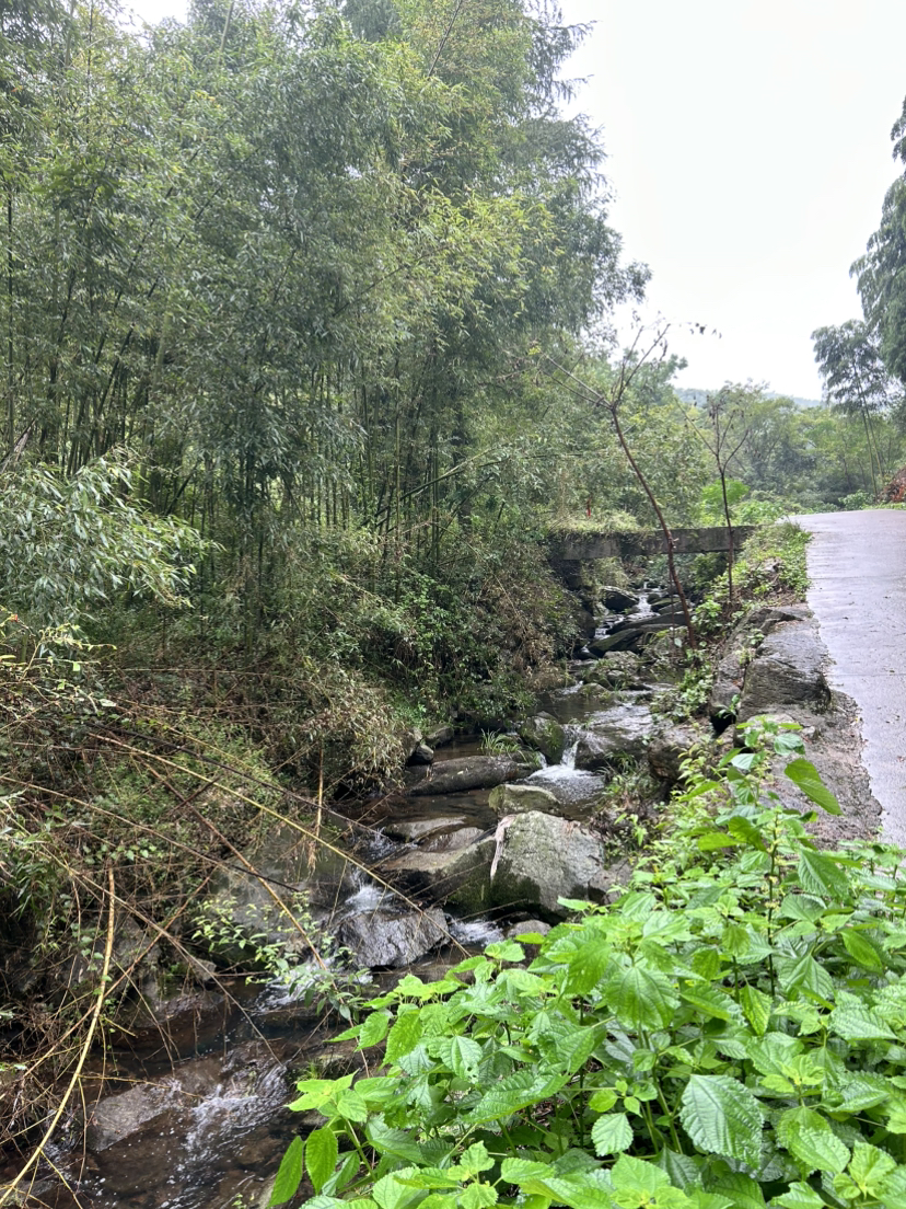 杭宣古道·独松关