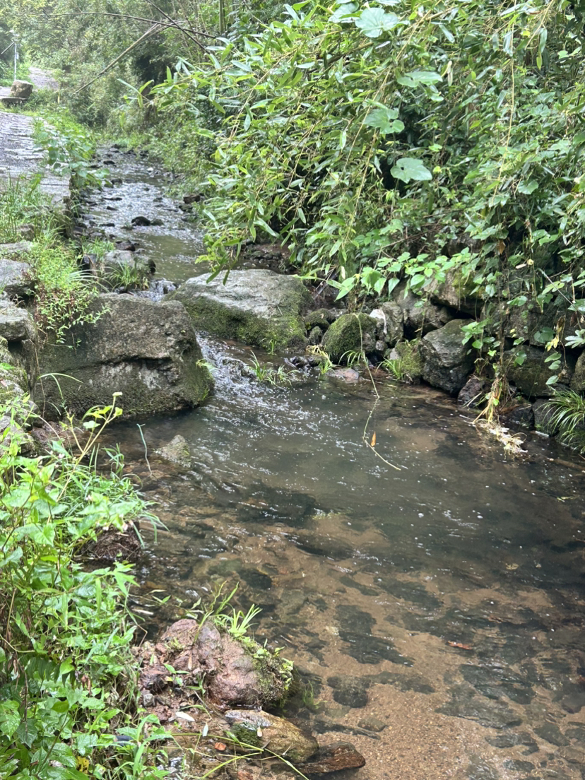 杭宣古道·独松关